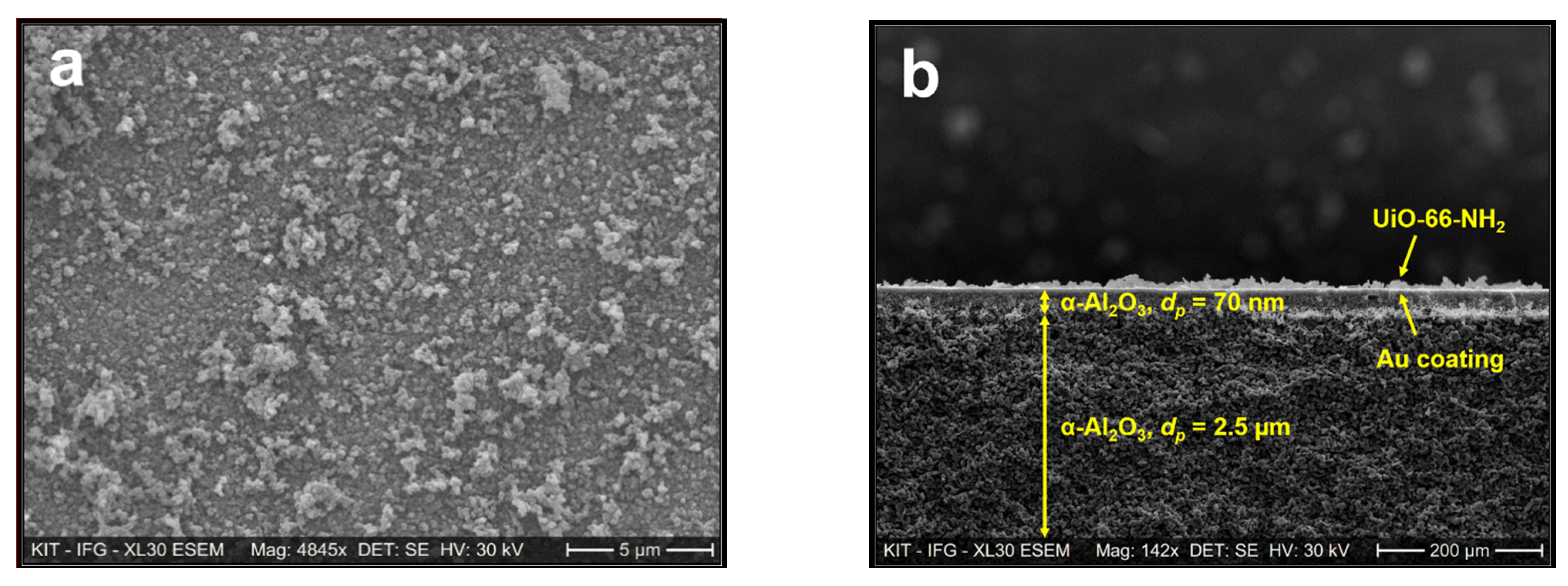 Membranes 11 00735 g005