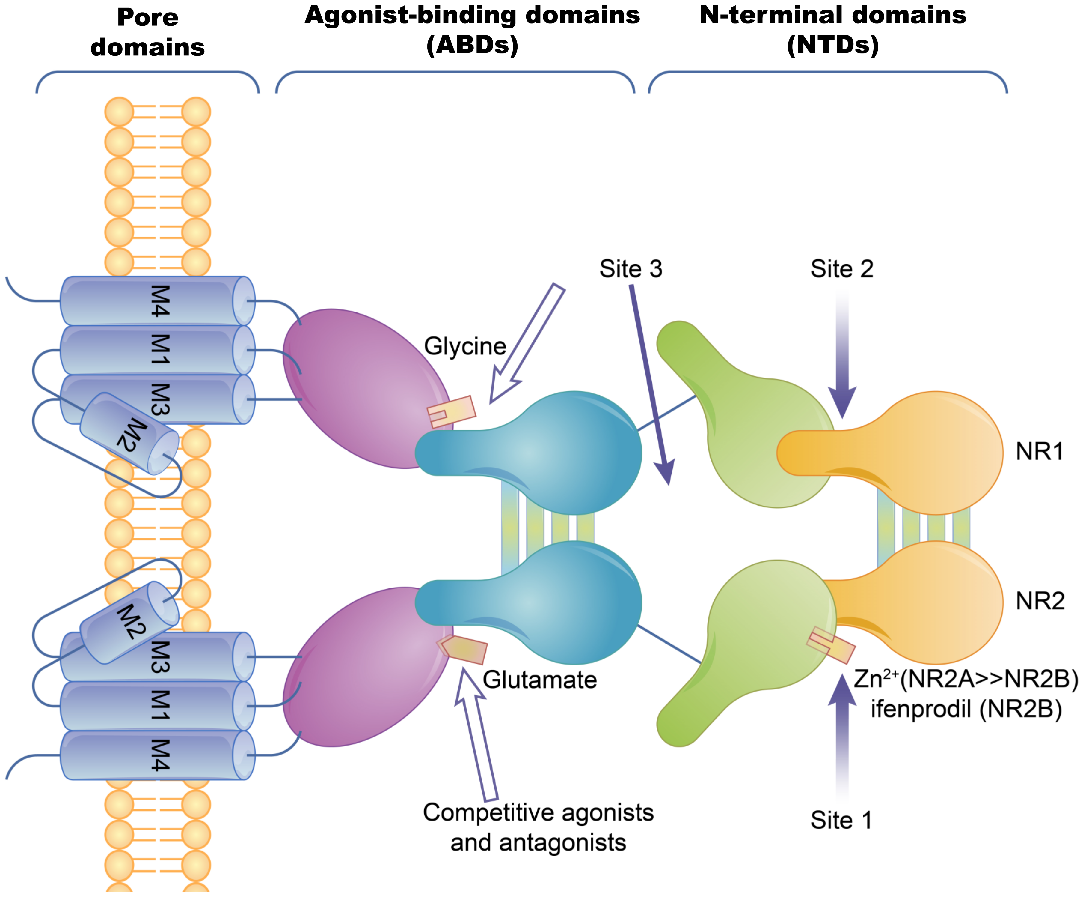 Membranes 11 00736 g002