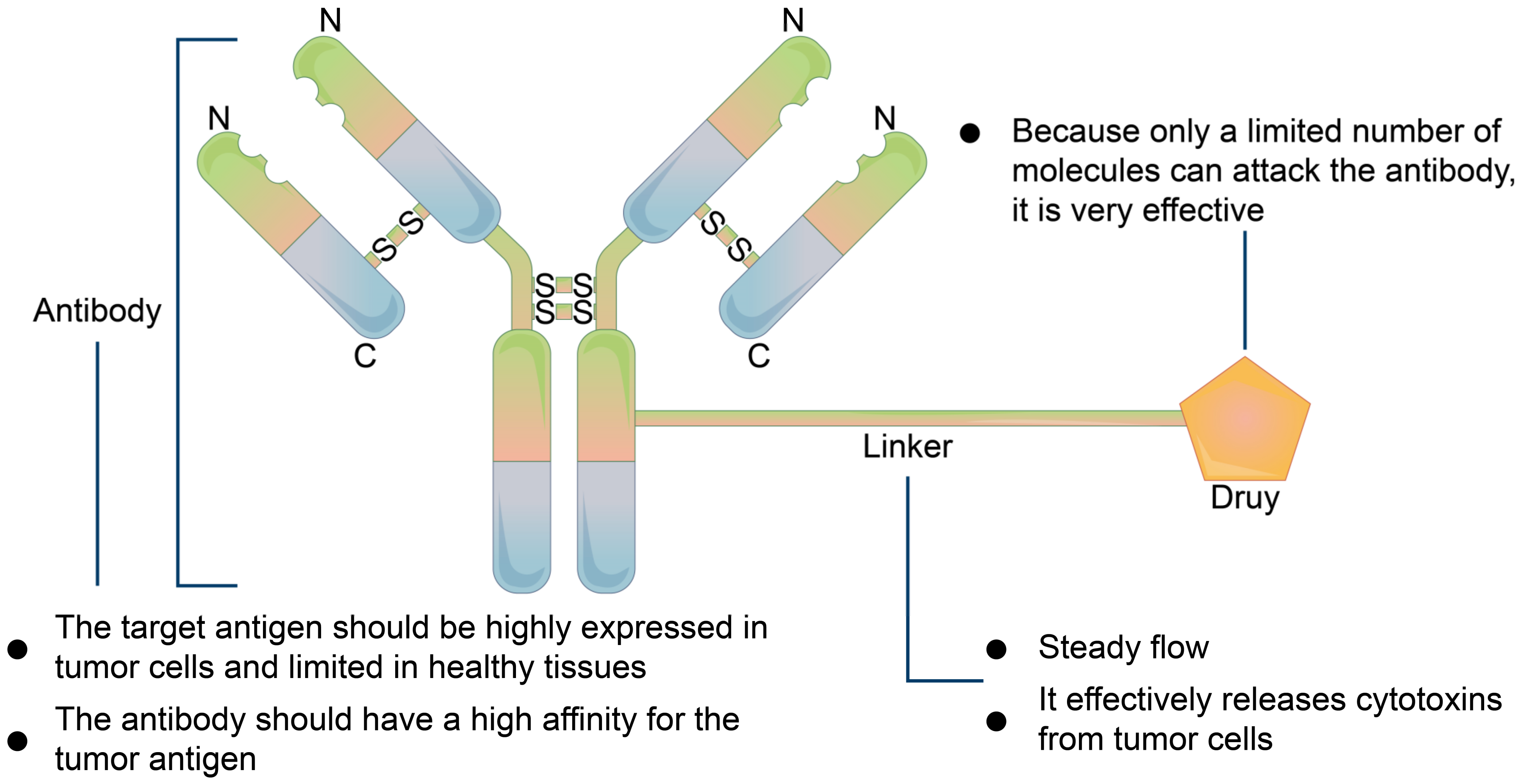 Membranes 11 00736 g006