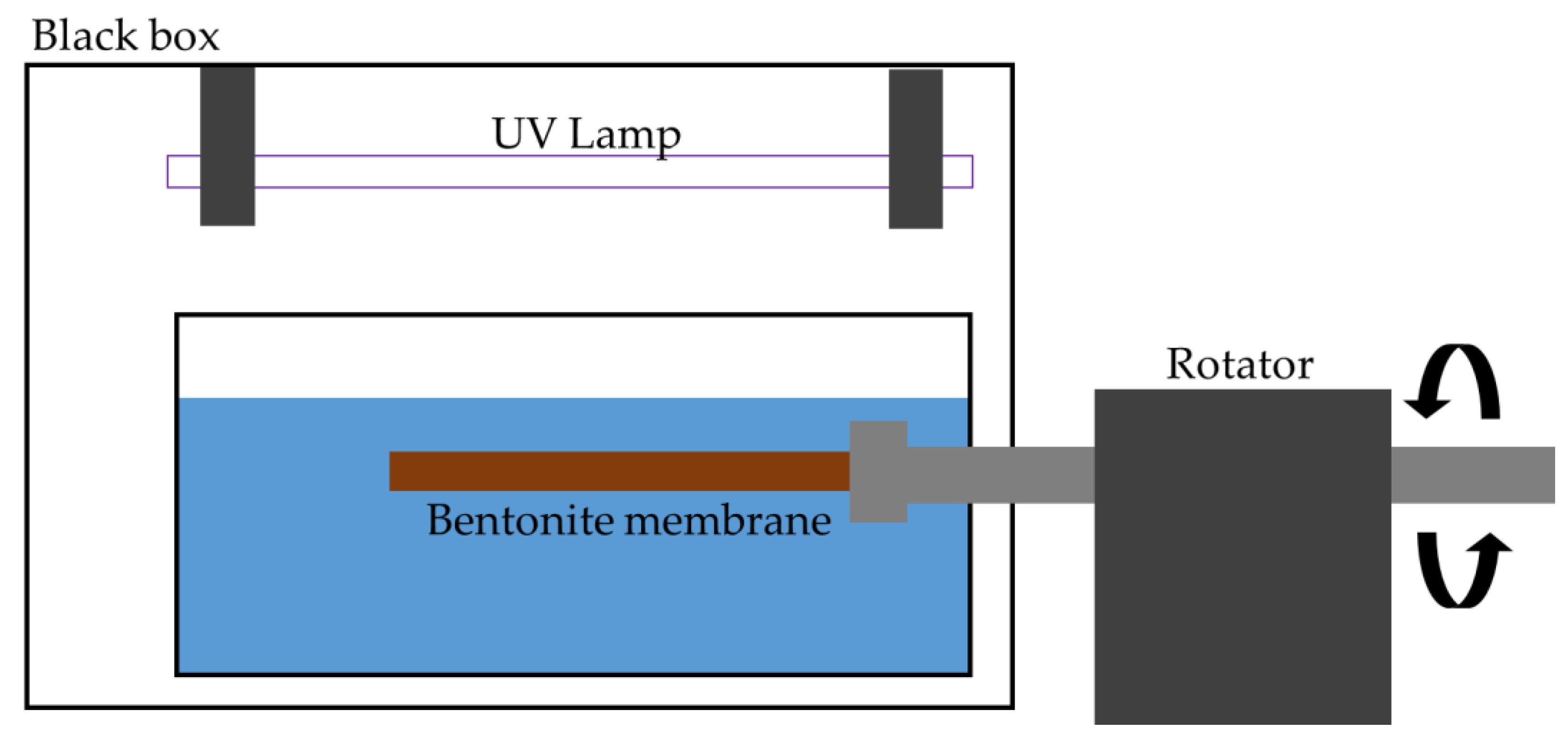 Membranes 11 00739 g001