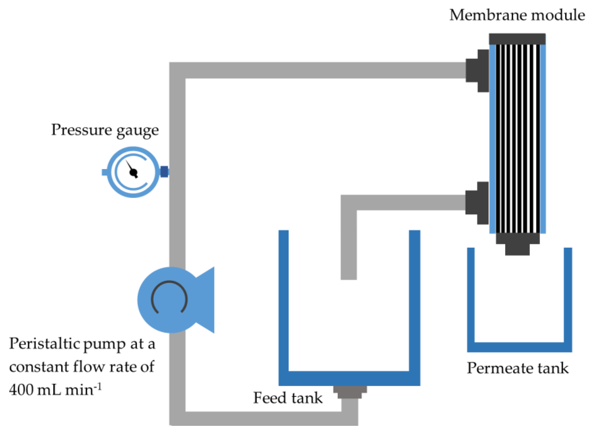 Membranes 11 00739 g002