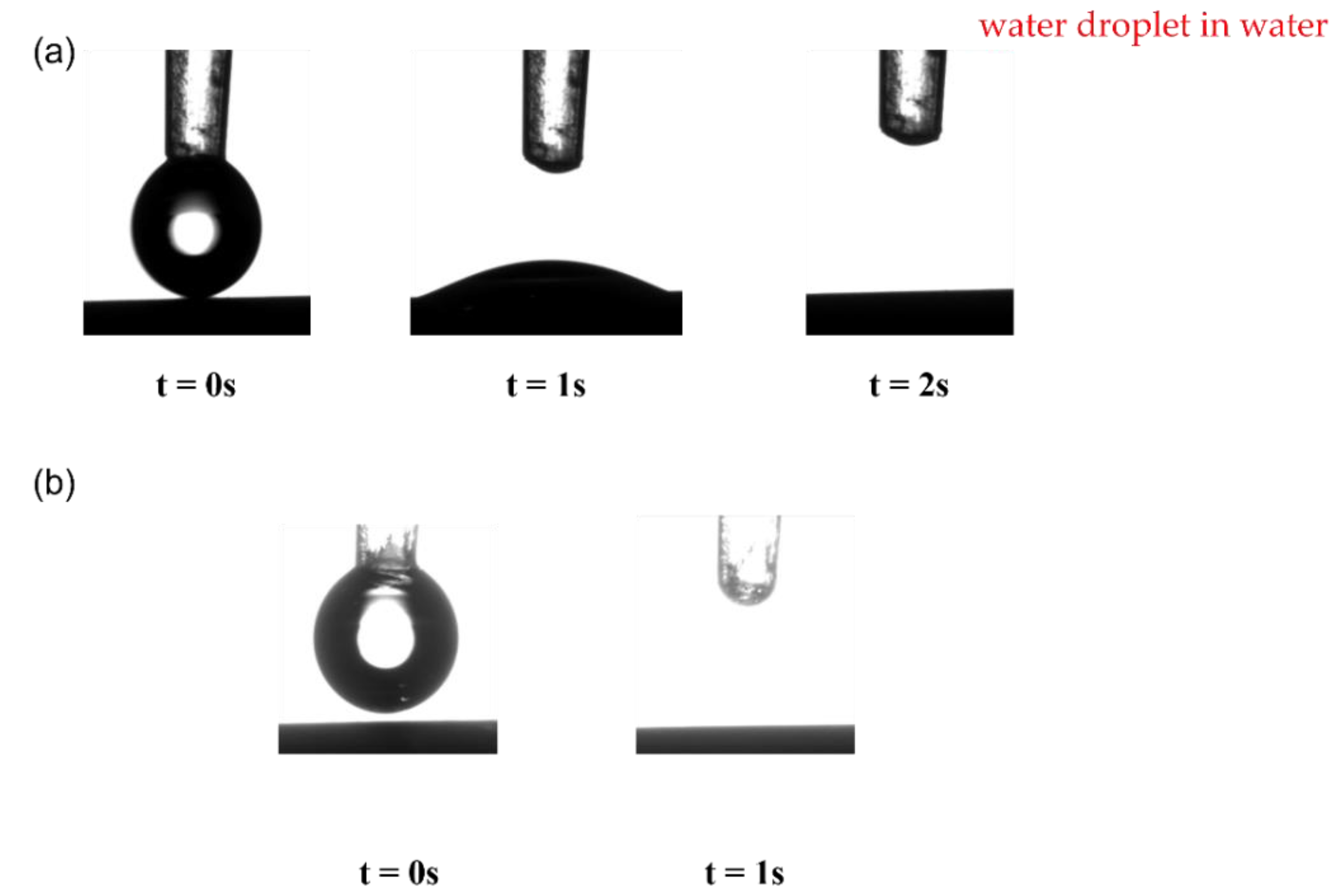 Membranes 11 00739 g007