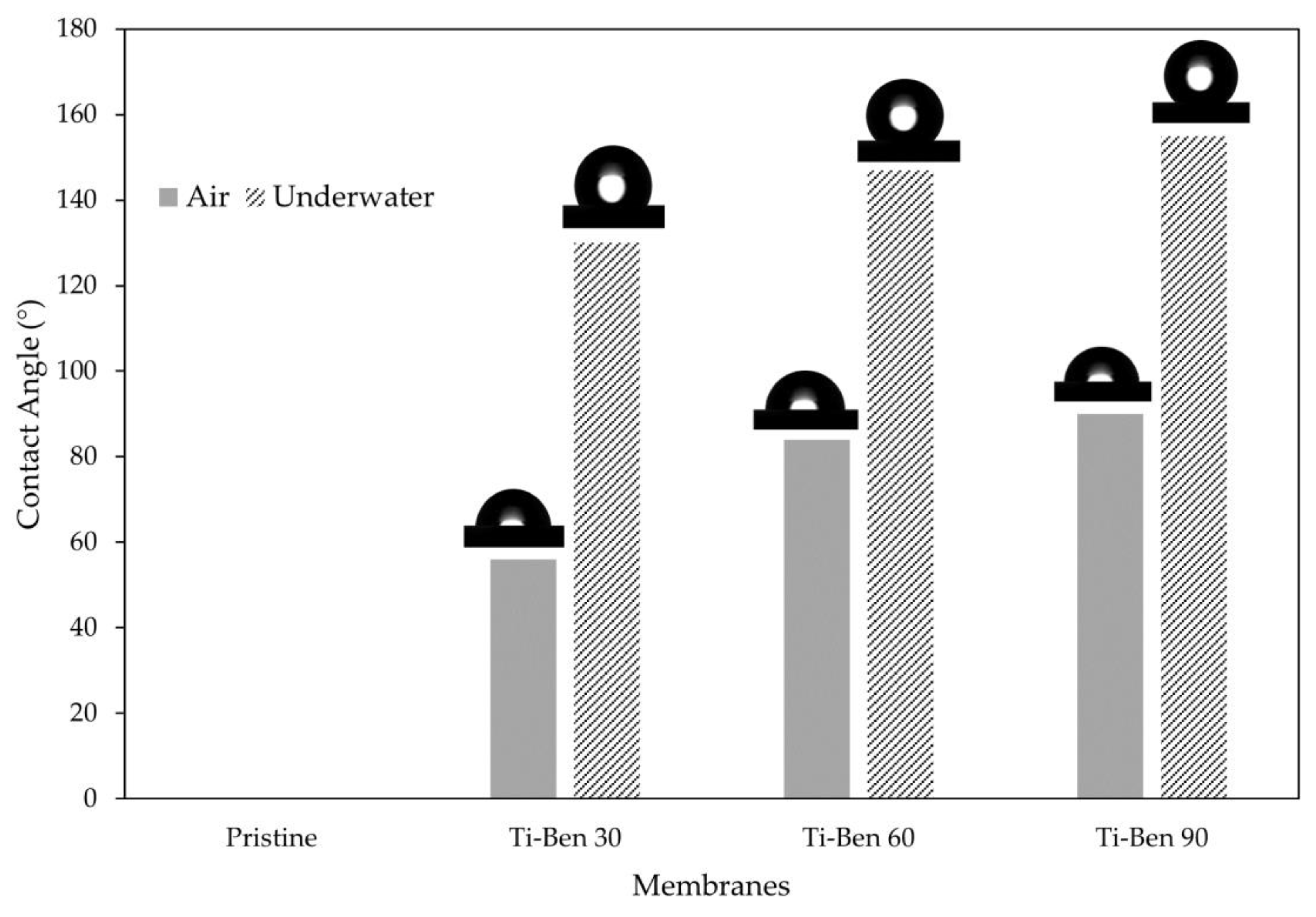 Membranes 11 00739 g008