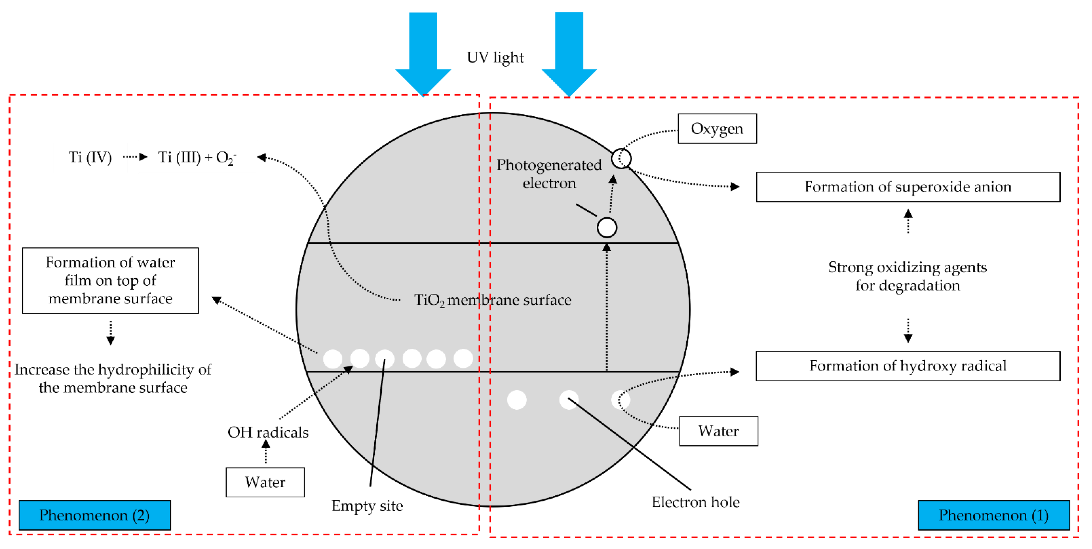 Membranes 11 00739 g009