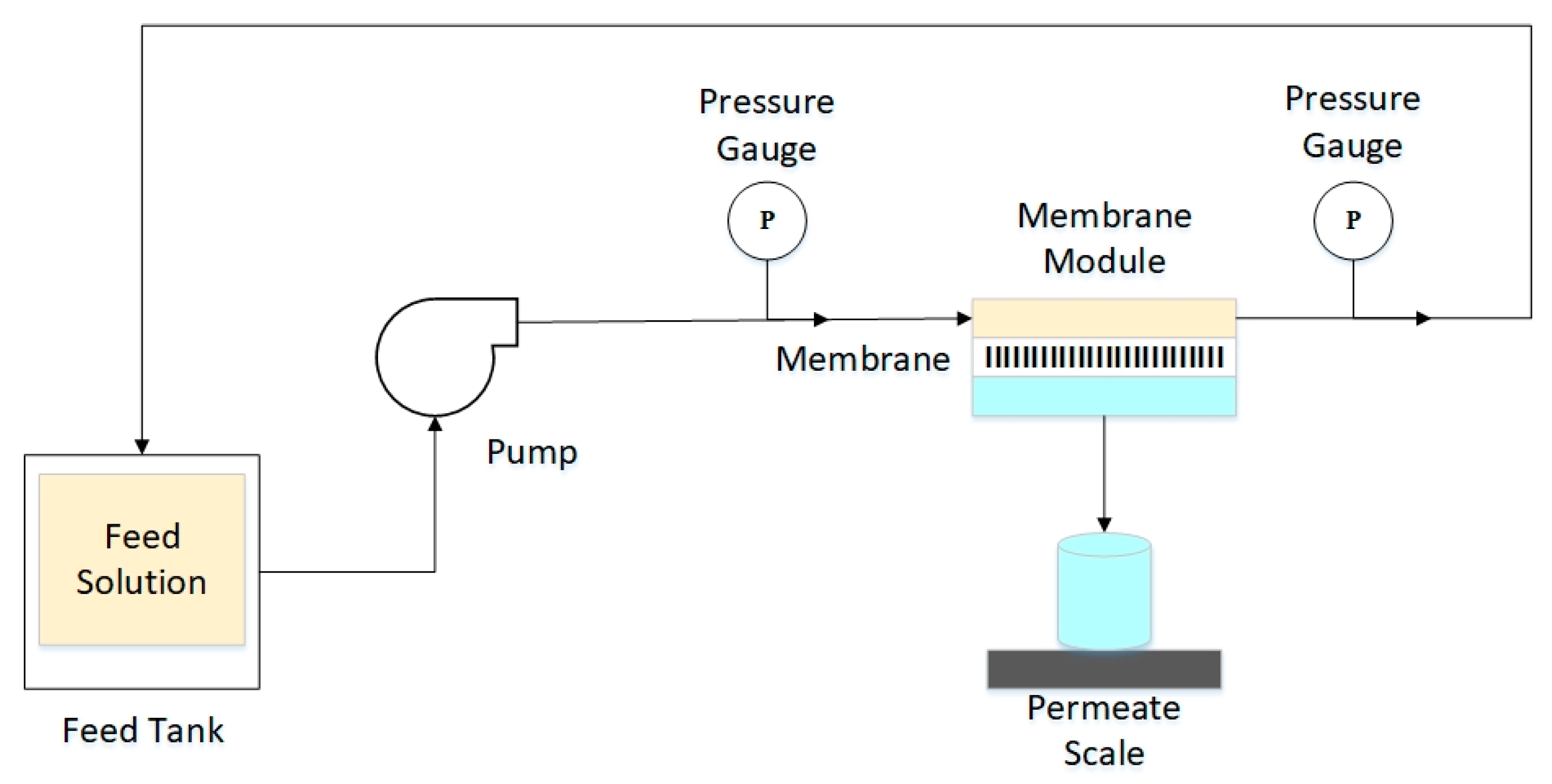 Membranes 11 00748 g001