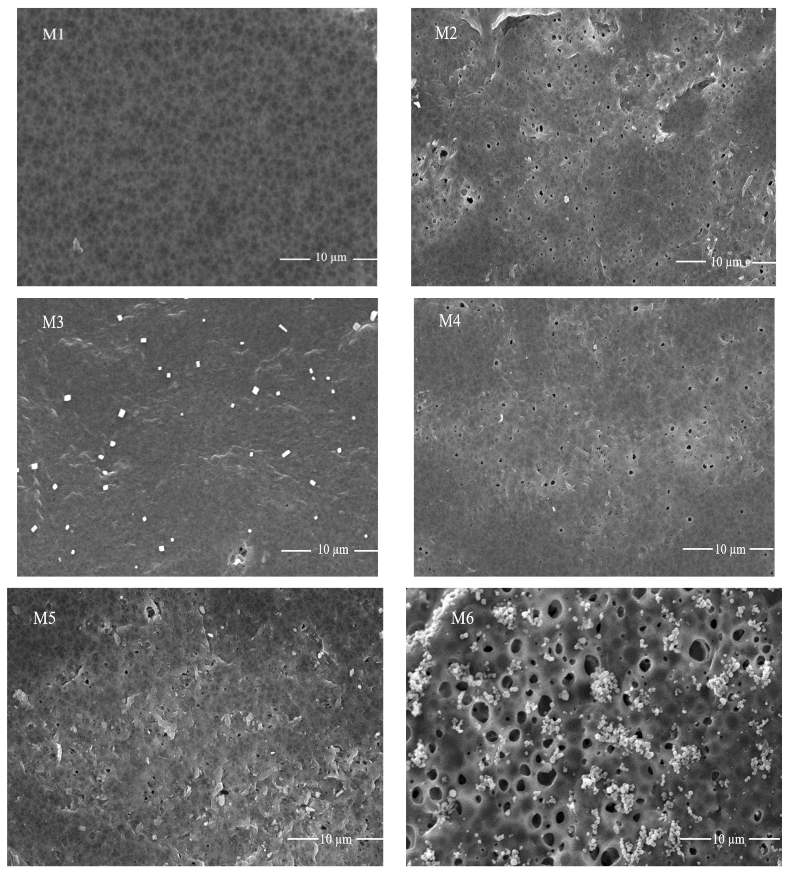 Membranes 11 00749 g006a