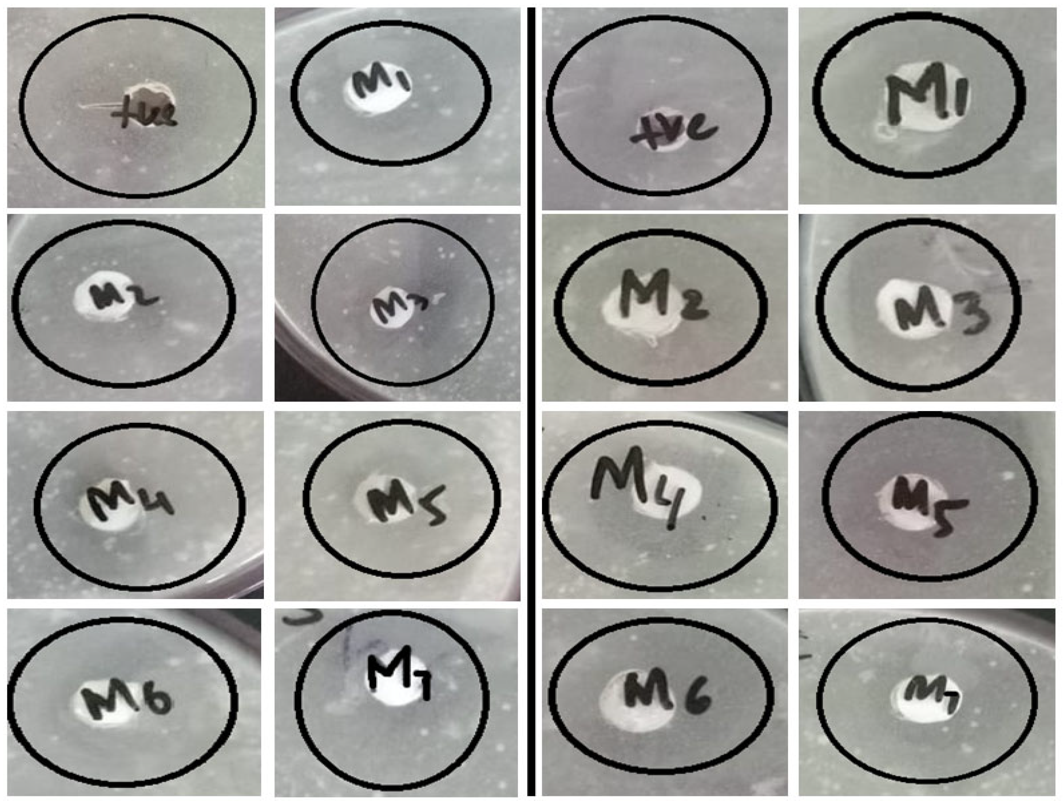 Membranes 11 00749 g012