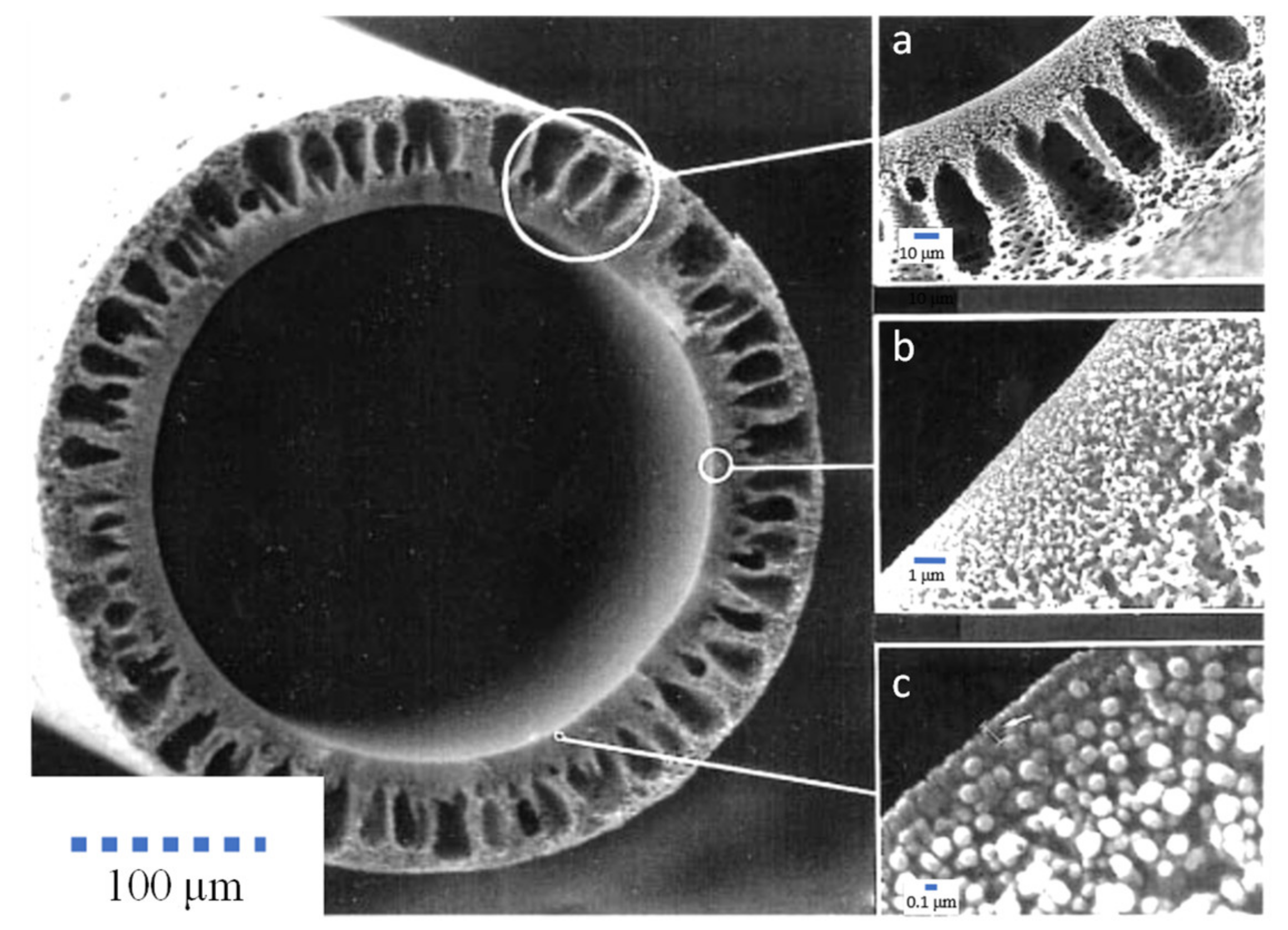 Membranes 11 00767 g002 Membranes 11 00767 g002