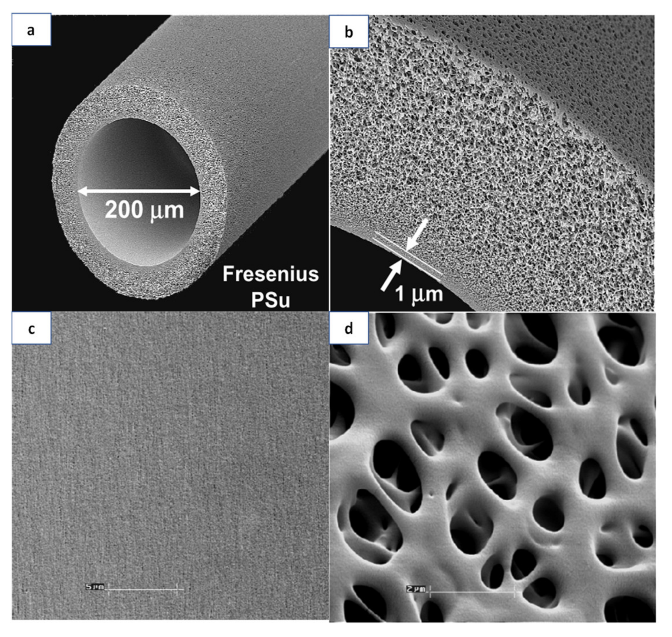 Membranes 11 00767 g003 Membranes 11 00767 g003