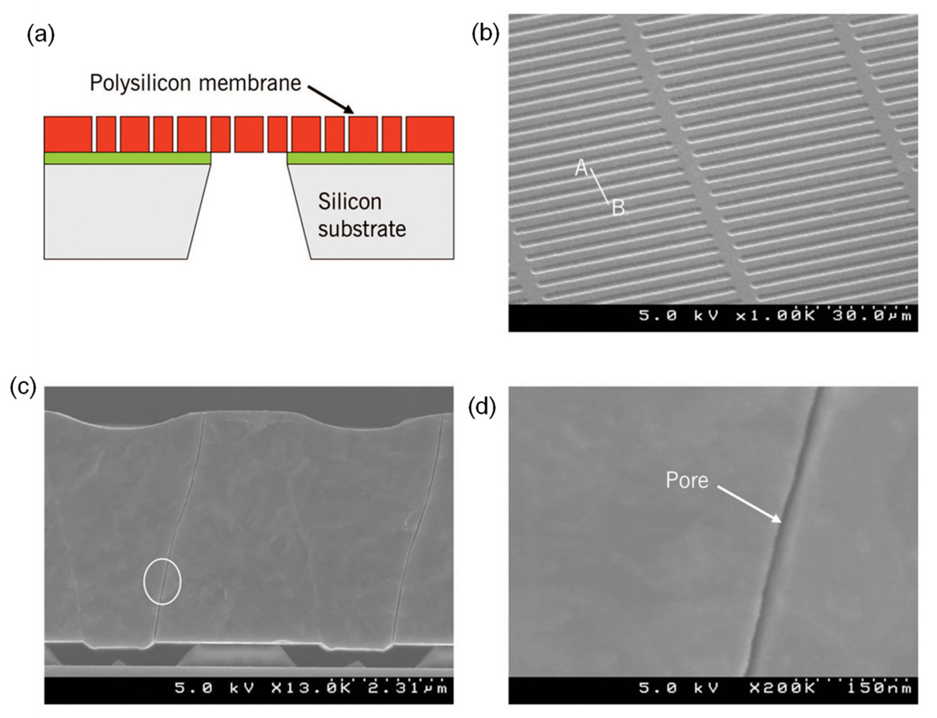 Membranes 11 00767 g005 Membranes 11 00767 g005