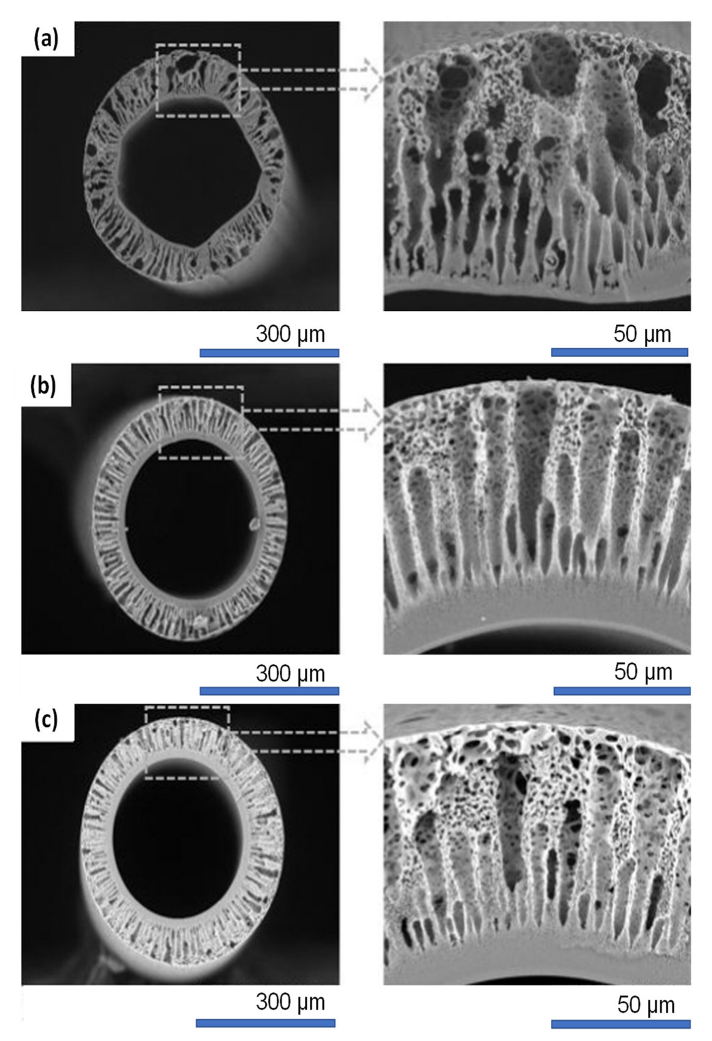 Membranes 11 00767 g006 Membranes 11 00767 g006