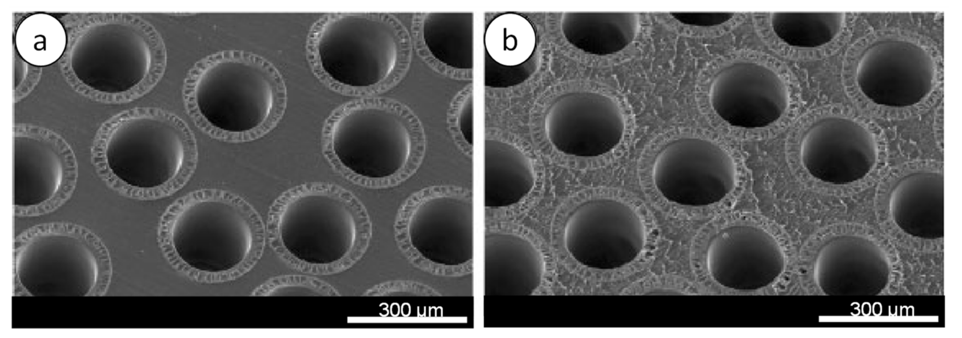 Membranes 11 00767 g009 Membranes 11 00767 g009
