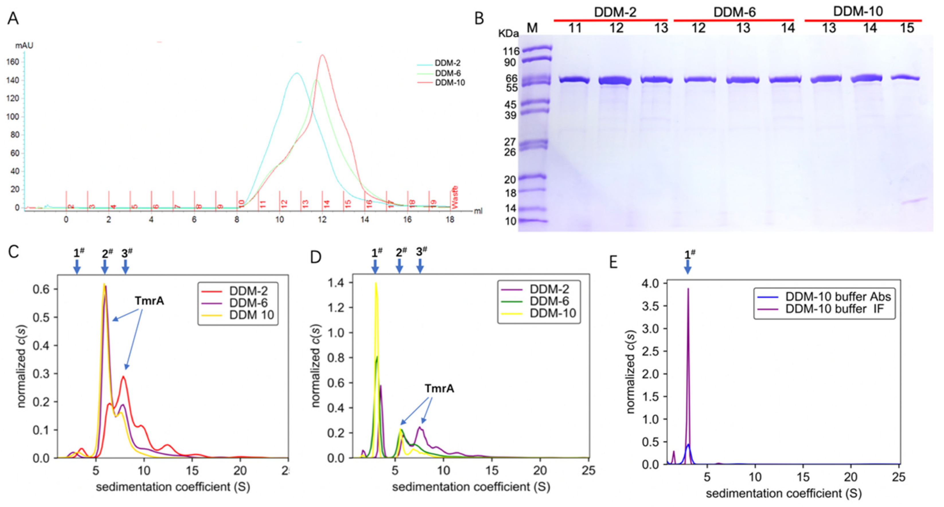 Membranes 11 00780 g002
