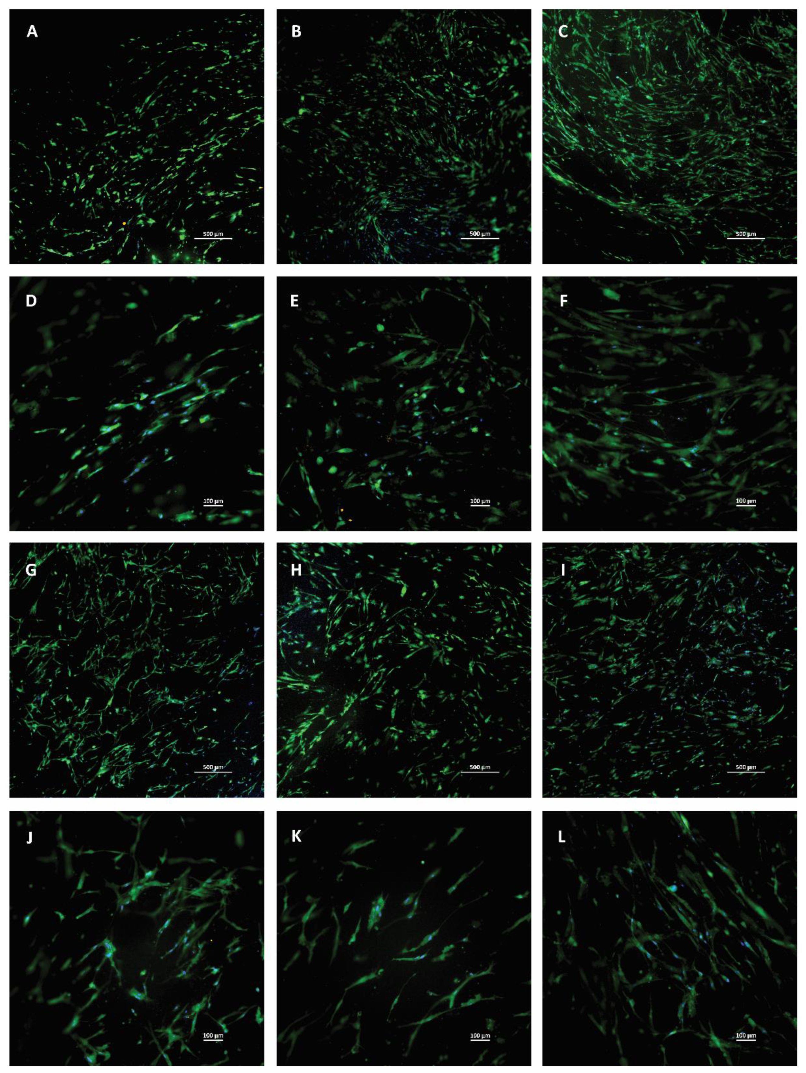 Membranes 11 00783 g007