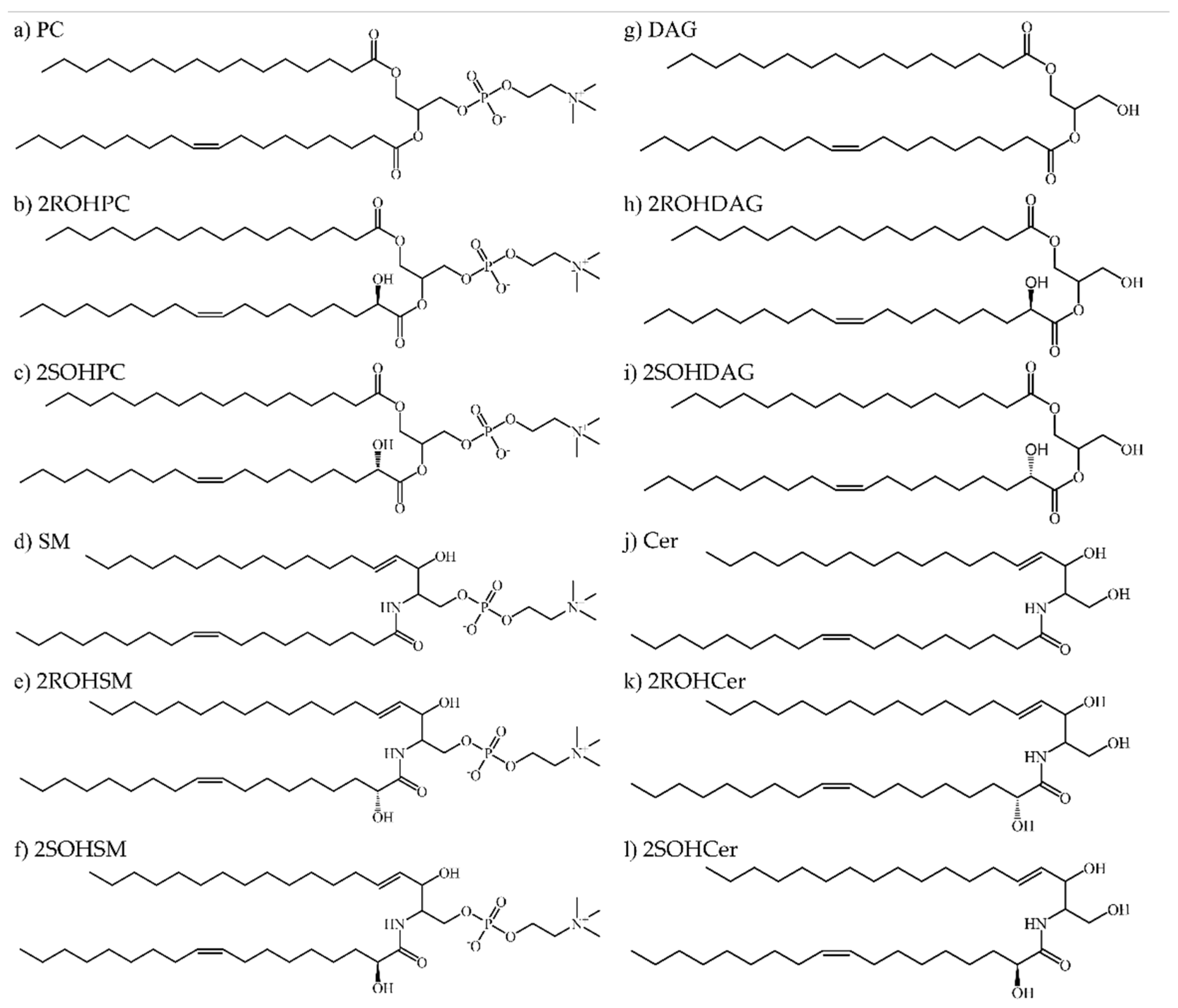 Membranes 11 00787 g001