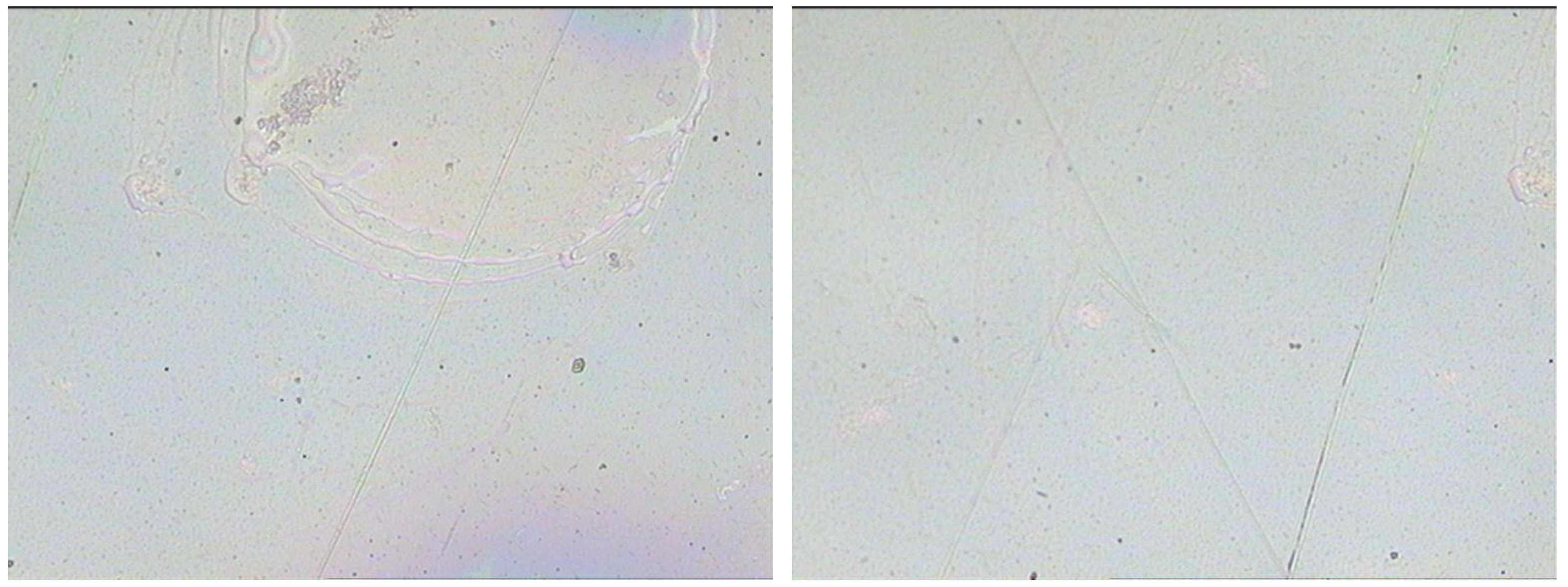 Membranes 11 00788 g004