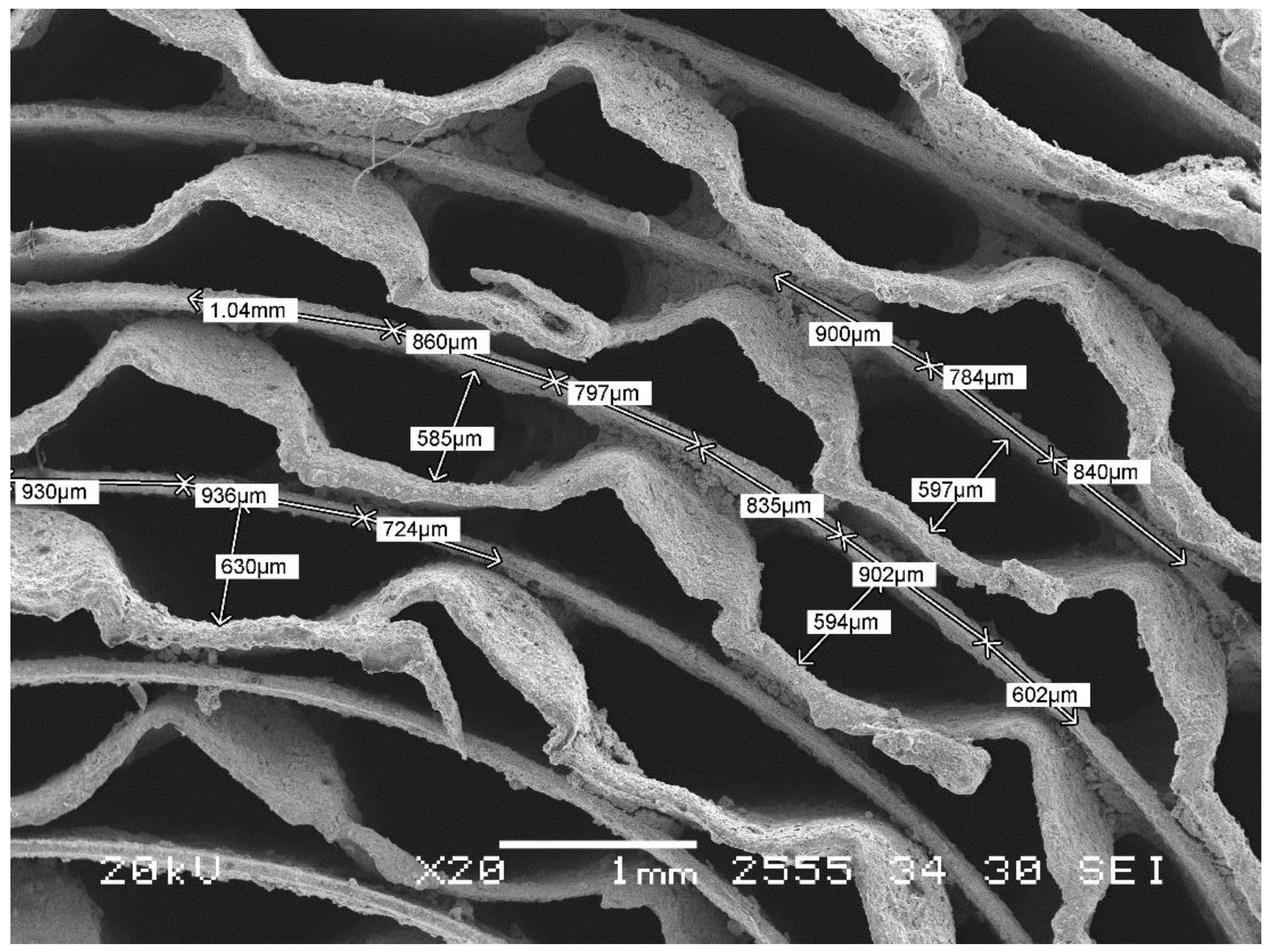 Membranes 11 00790 g001