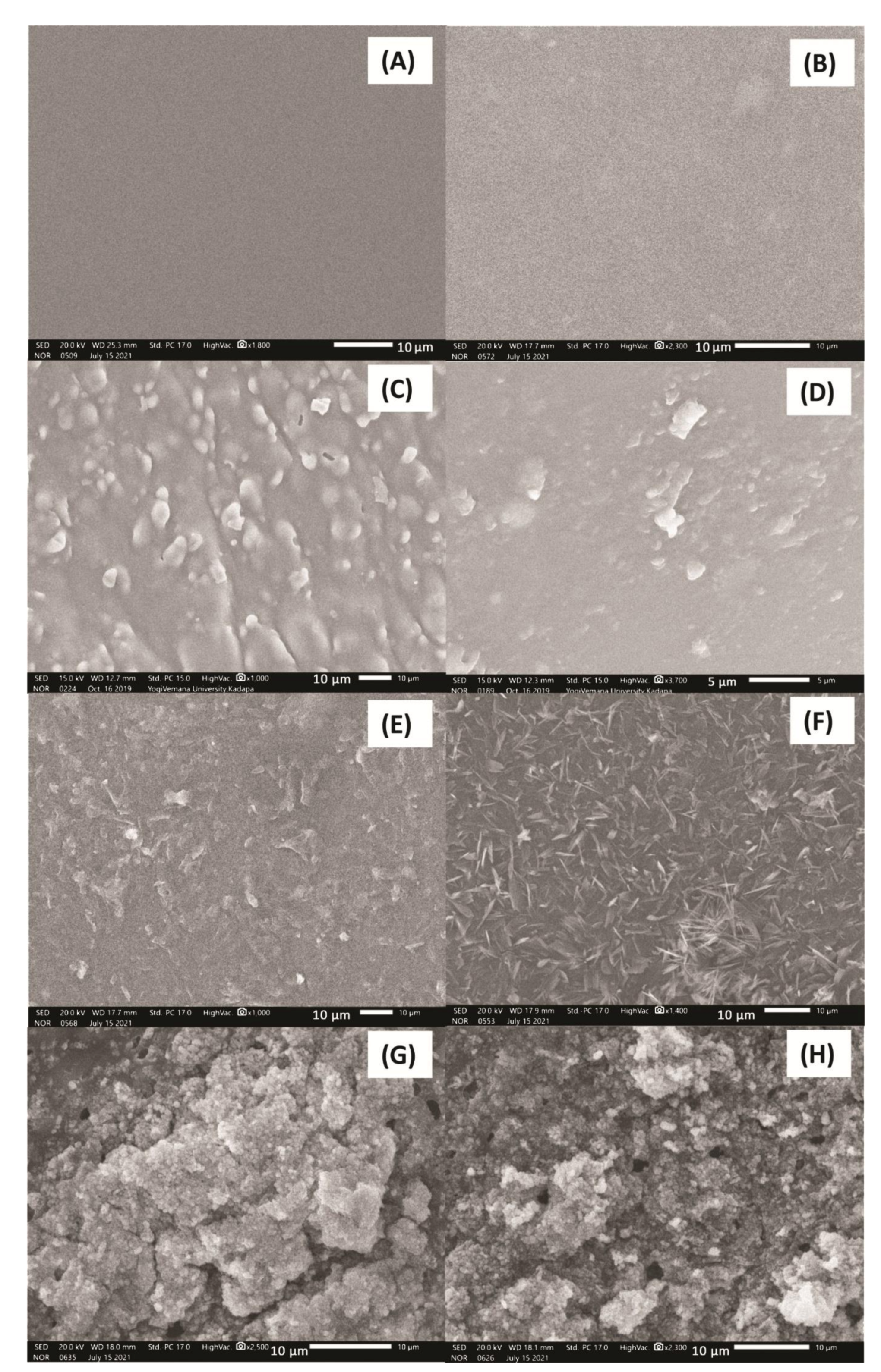 Membranes 11 00792 g004