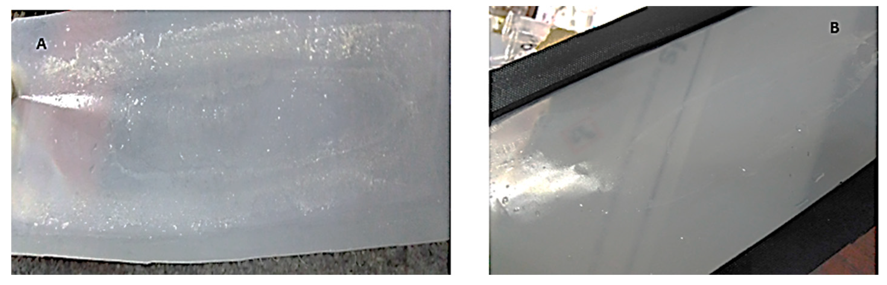 Membranes 11 00801 g006