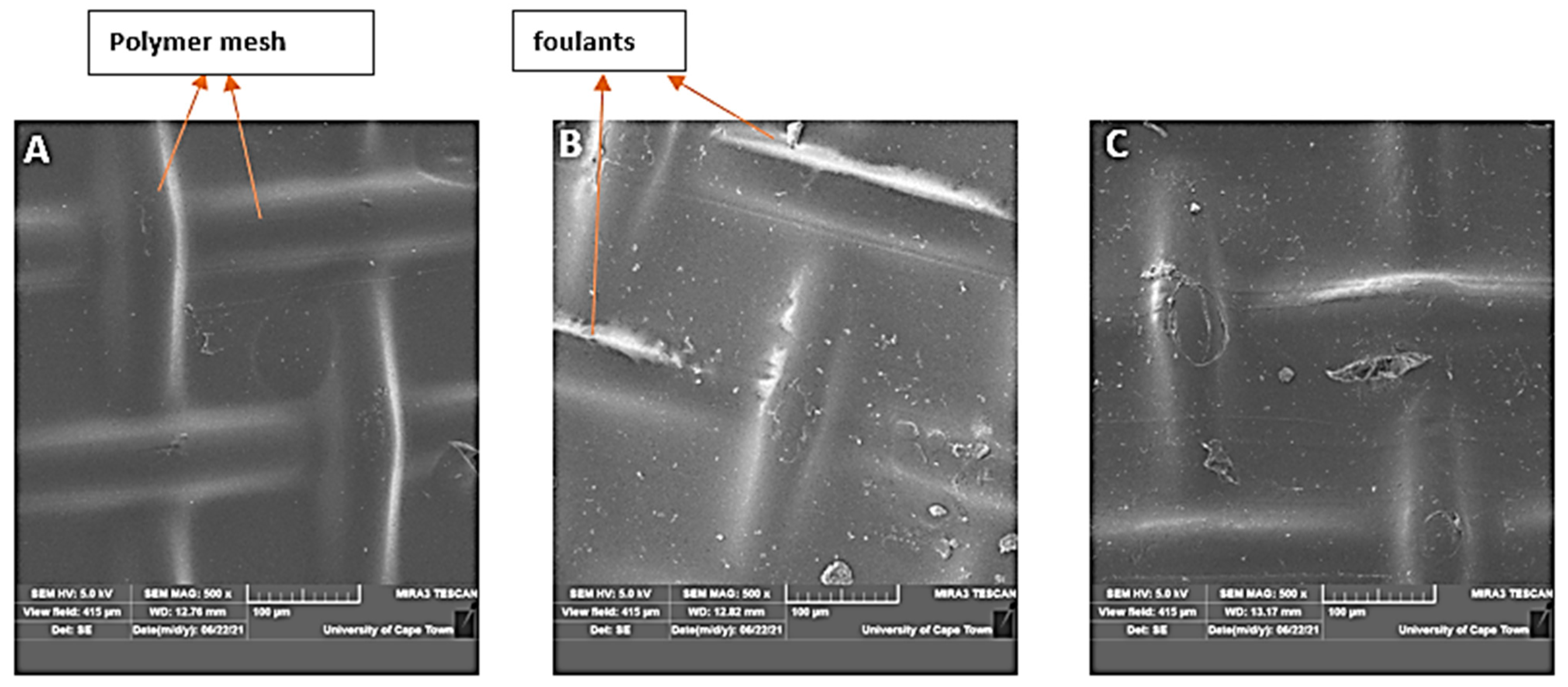 Membranes 11 00801 g007