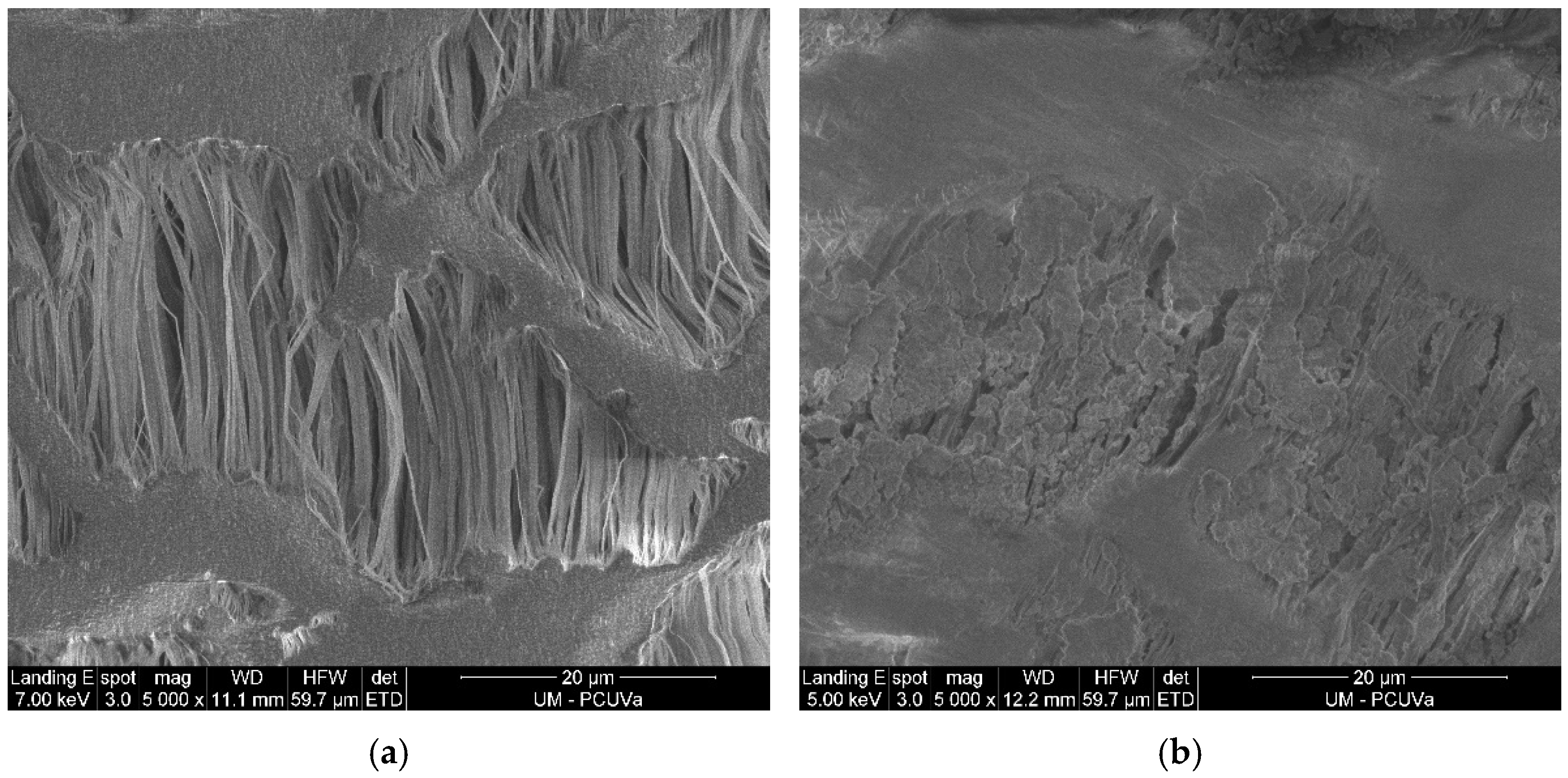 Membranes 11 00859 g002 Membranes 11 00859 g002