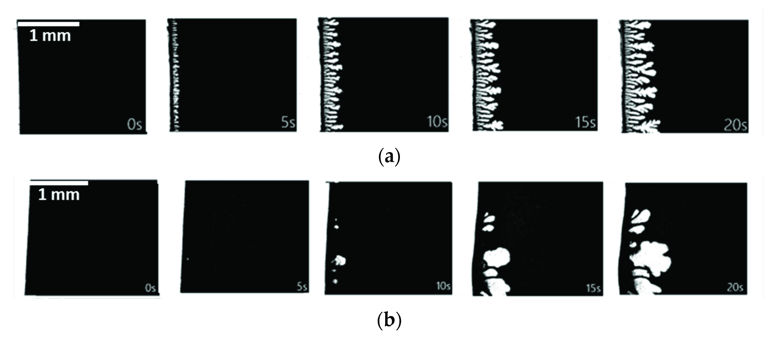 Membranes 11 00876 g004