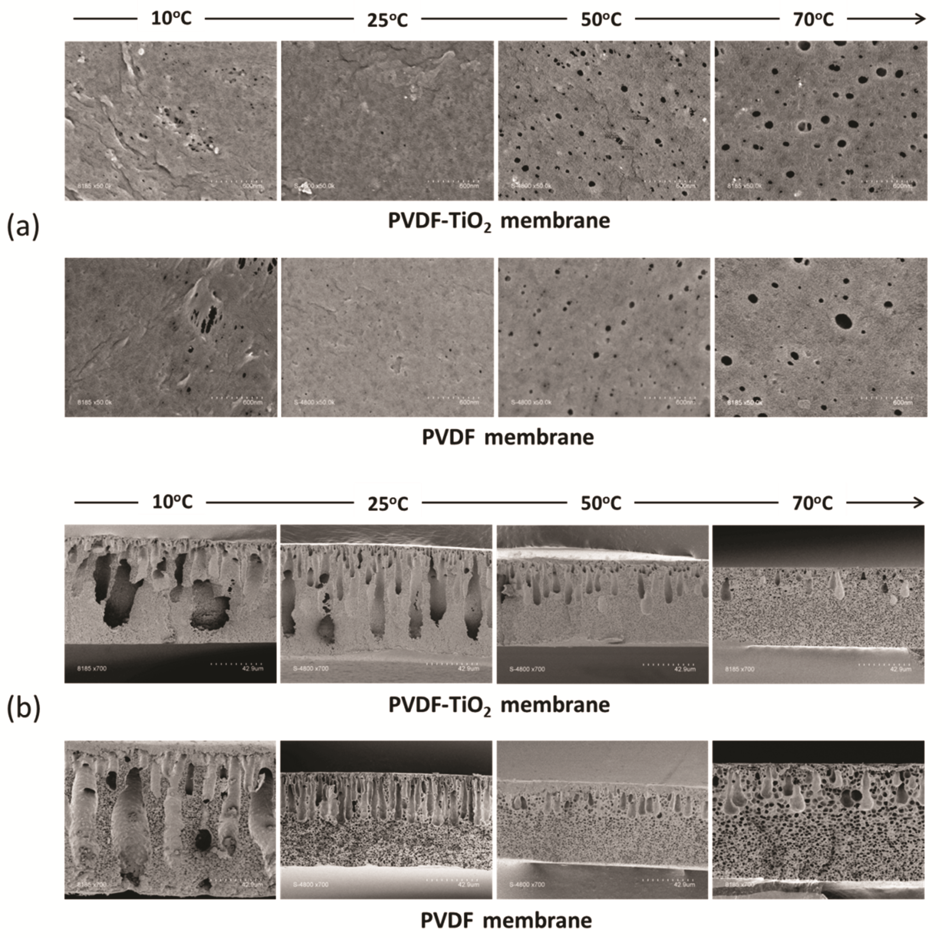 Membranes 11 00876 g006