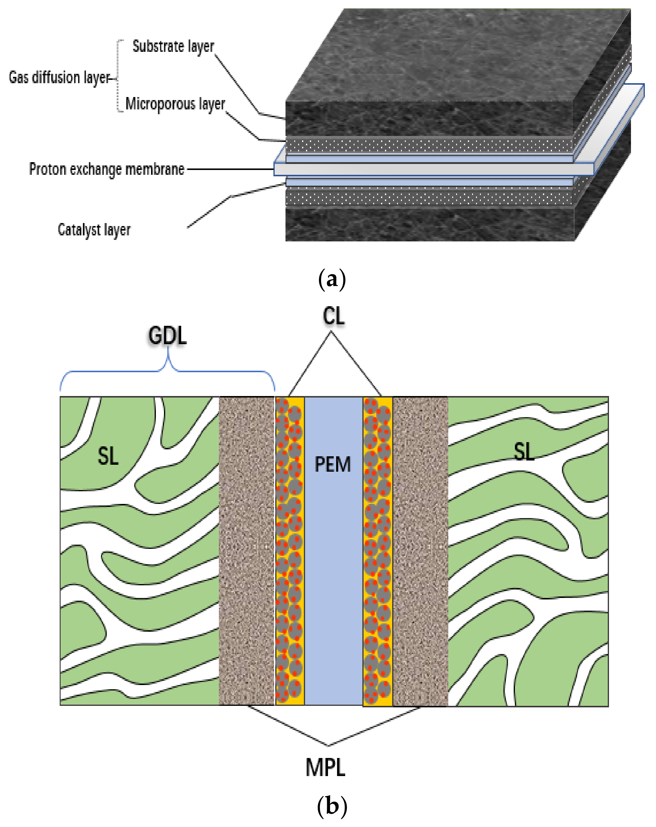 Membranes 11 00879 g001
