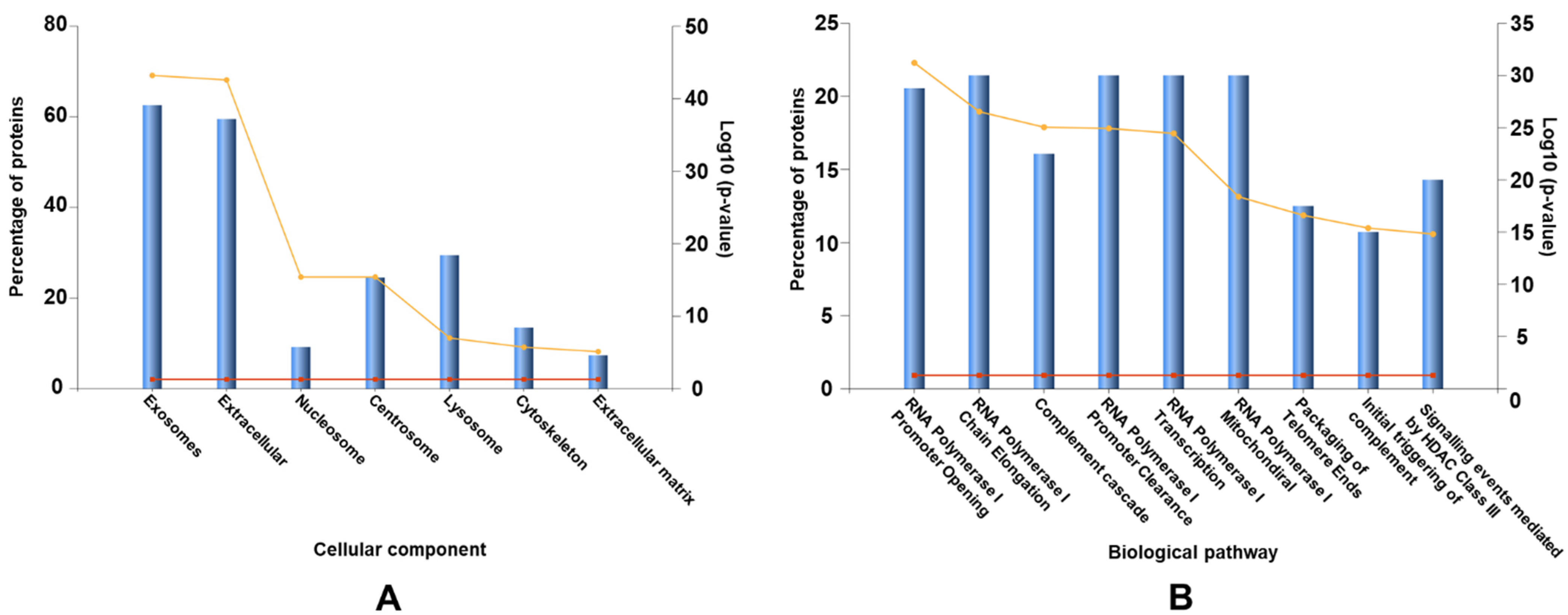Membranes 11 00880 g003