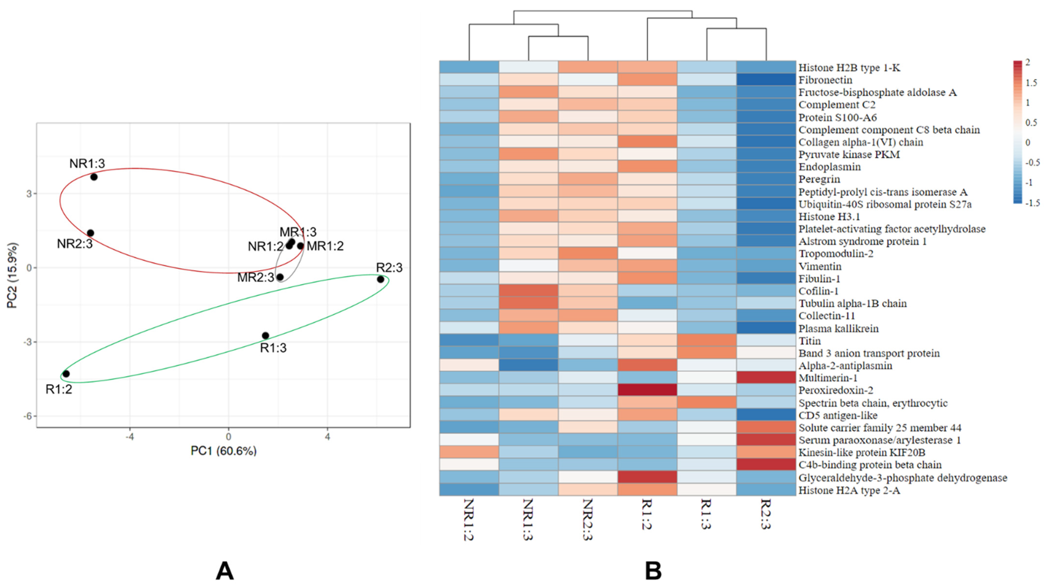 Membranes 11 00880 g005