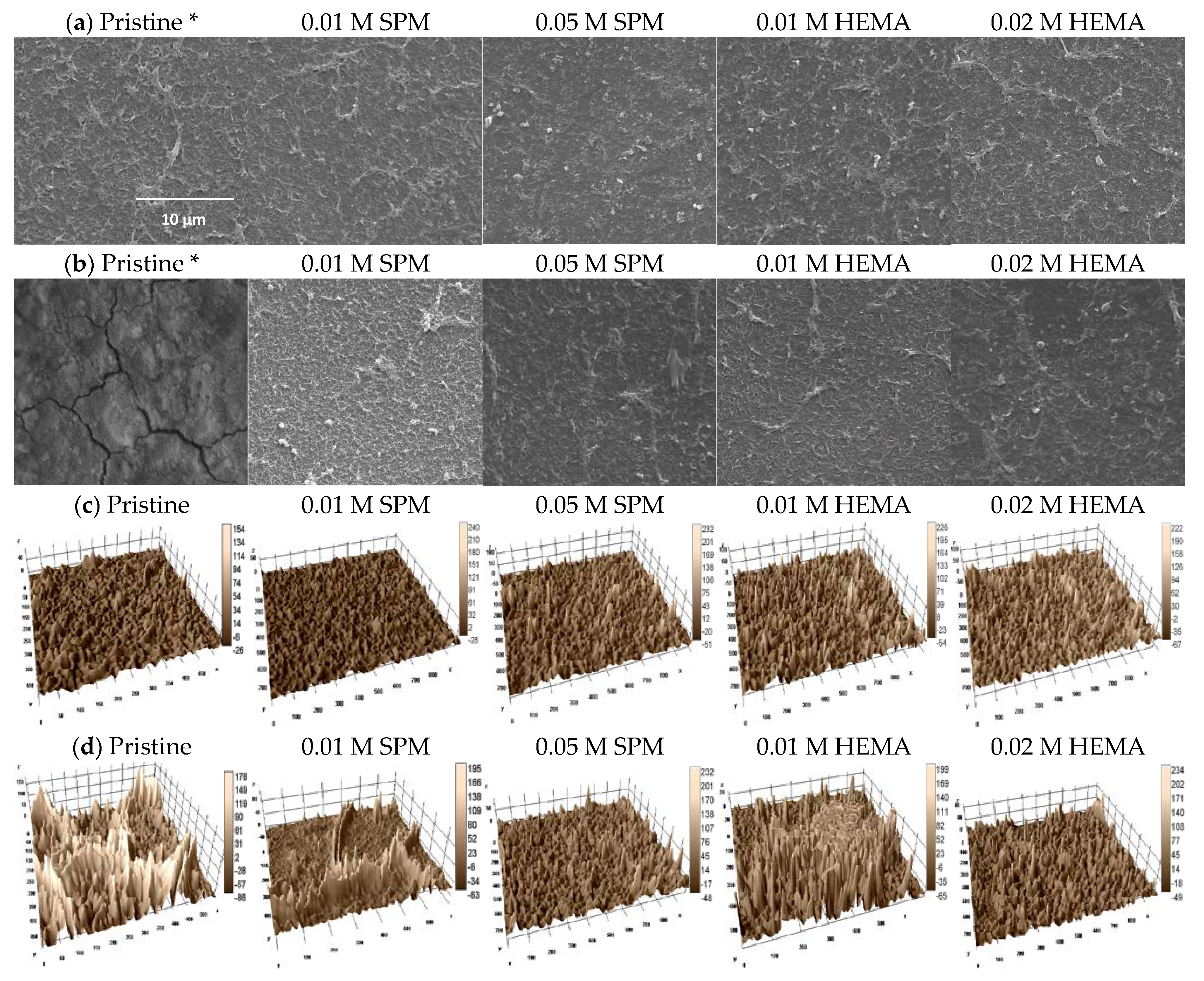 Membranes 11 00904 g003