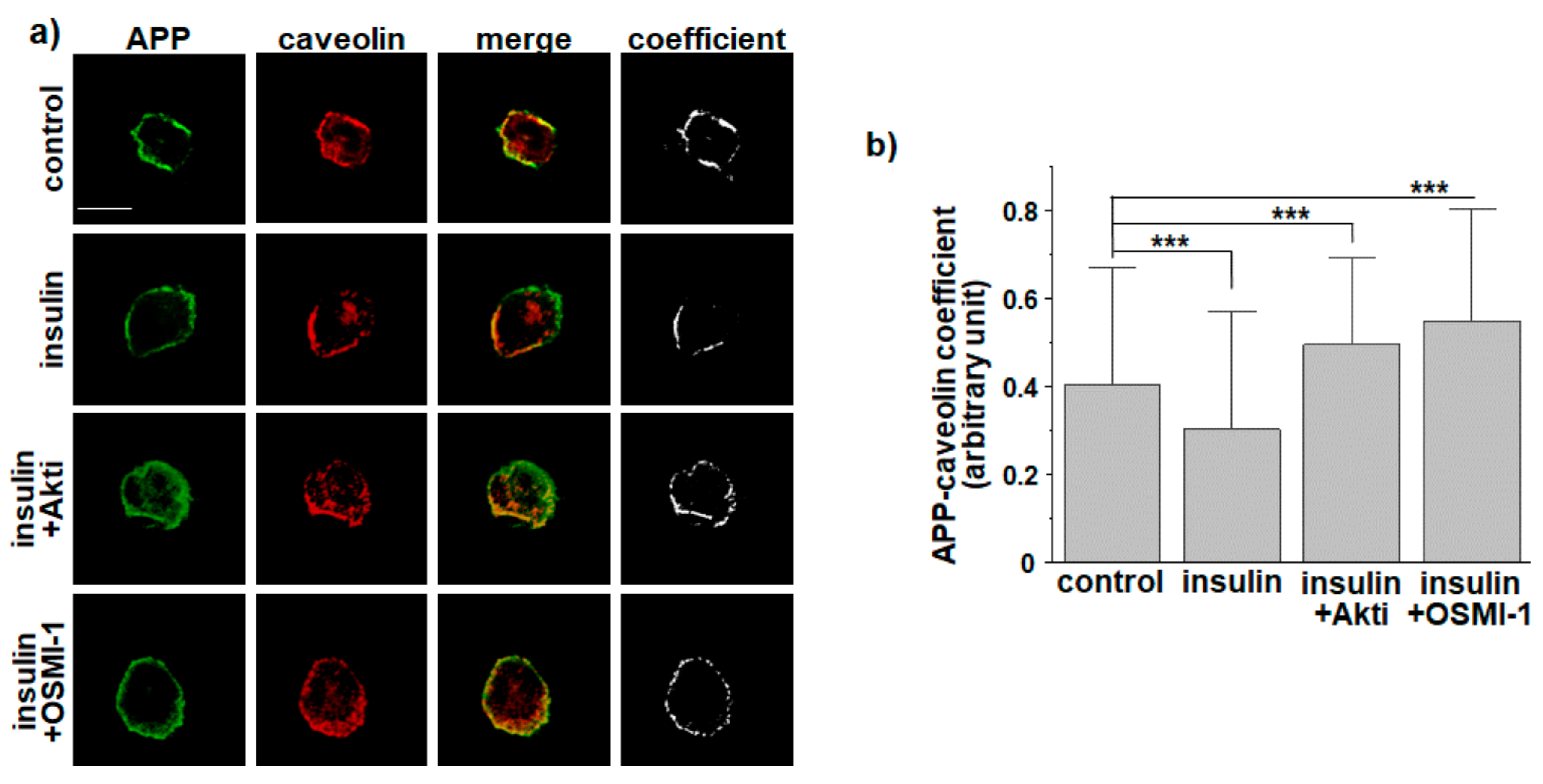 Membranes 11 00909 g001 Membranes 11 00909 g001