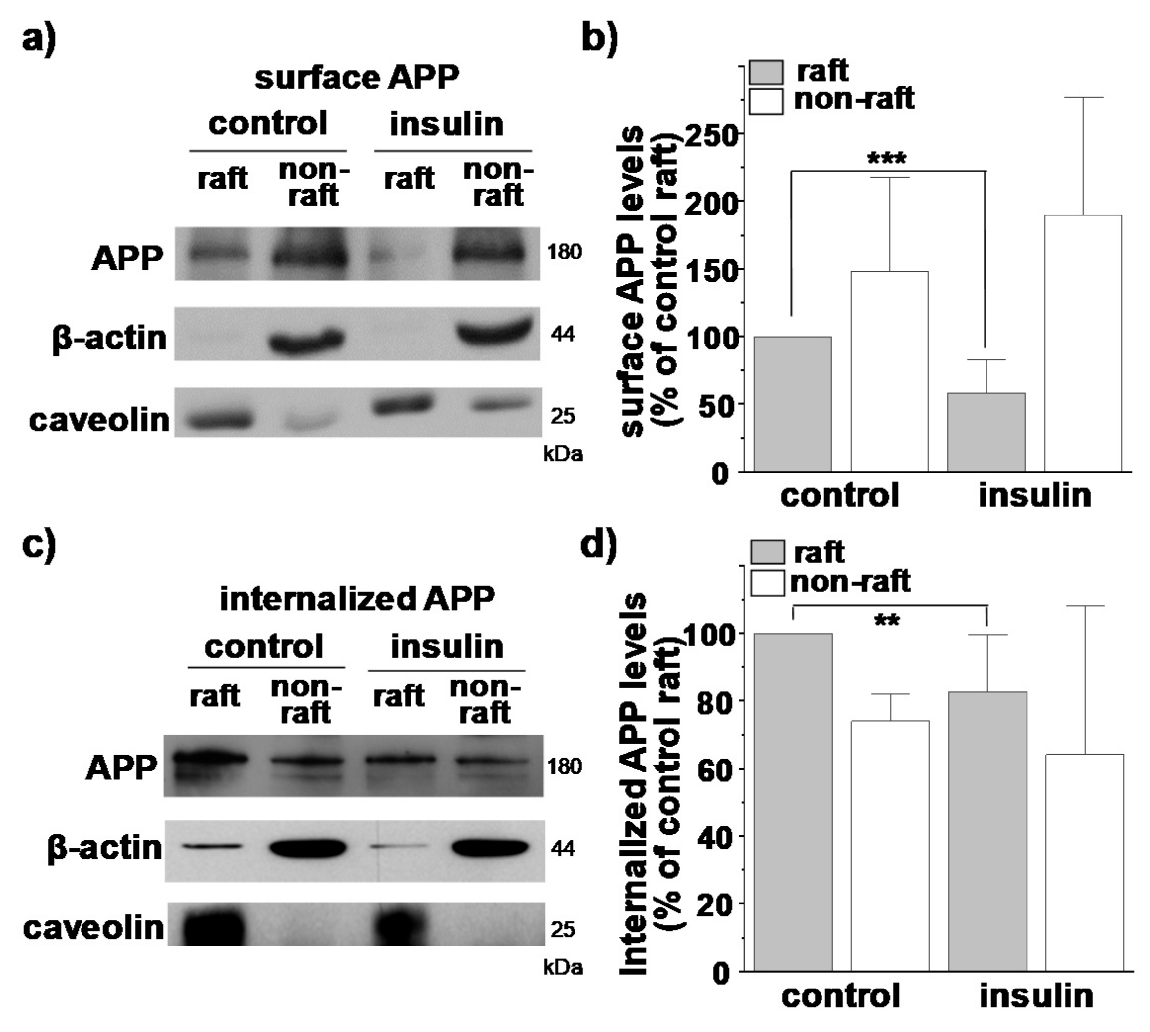 Membranes 11 00909 g004 Membranes 11 00909 g004