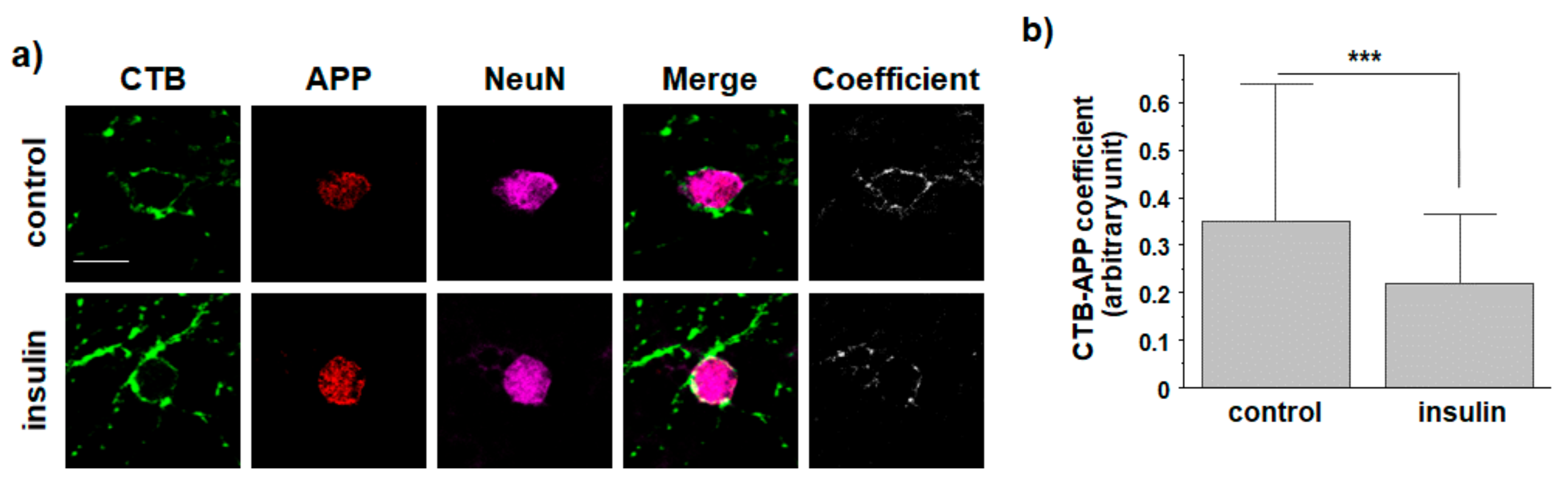 Membranes 11 00909 g005 Membranes 11 00909 g005