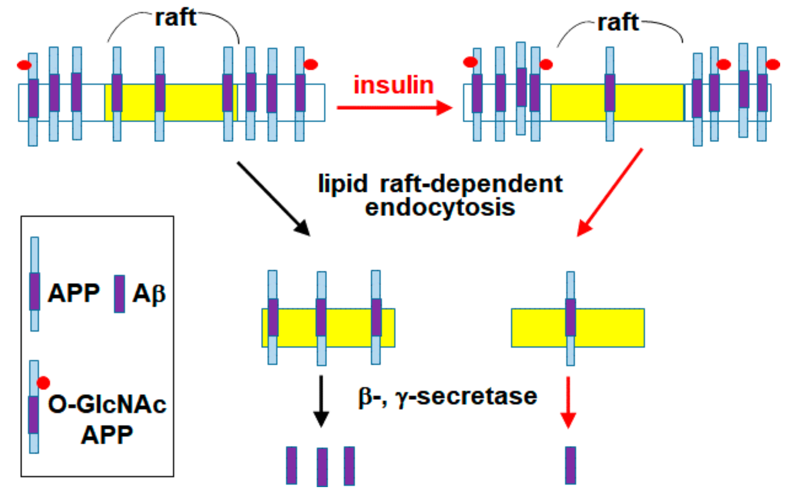 Membranes 11 00909 g006 Membranes 11 00909 g006