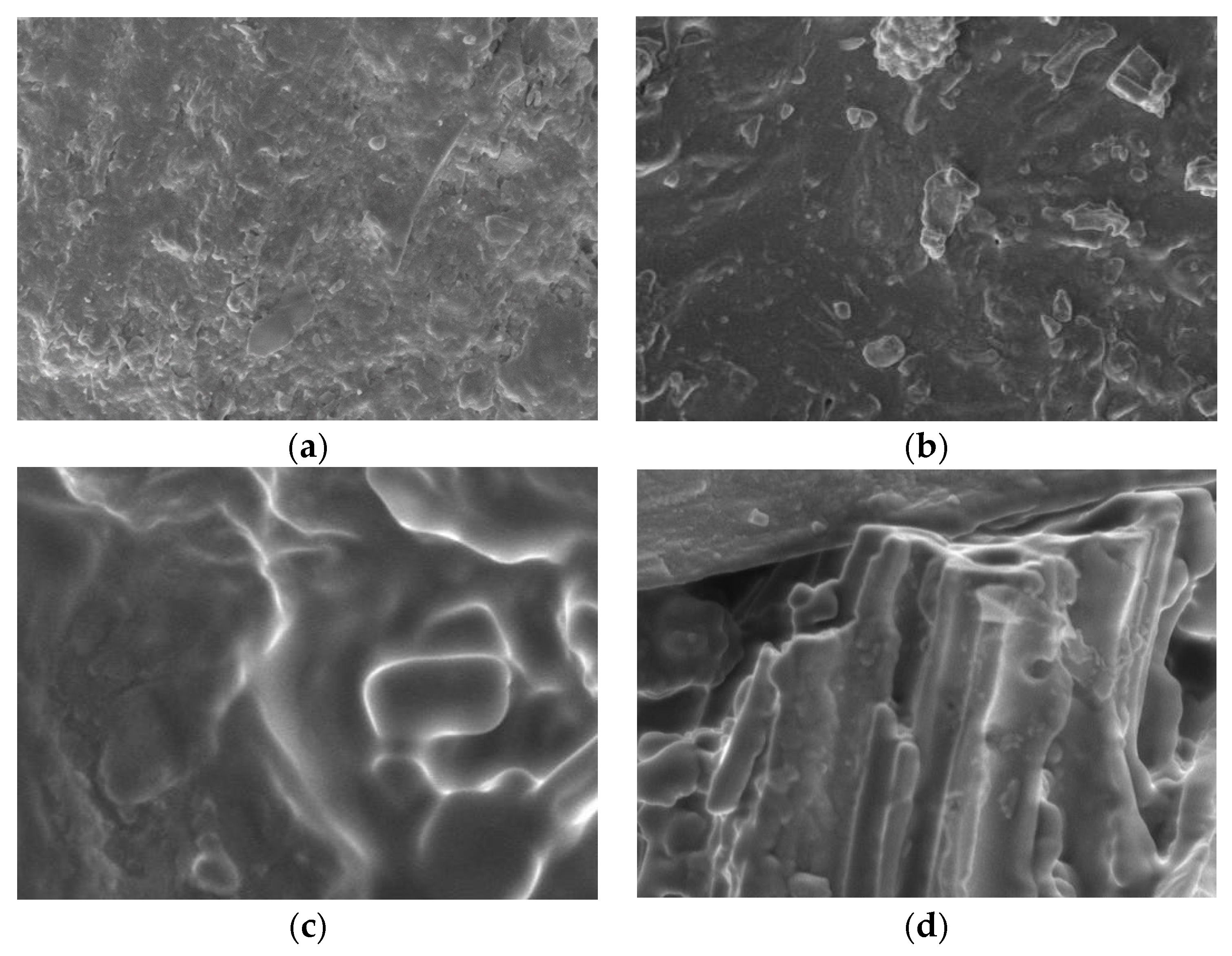 Membranes 11 00917 g006