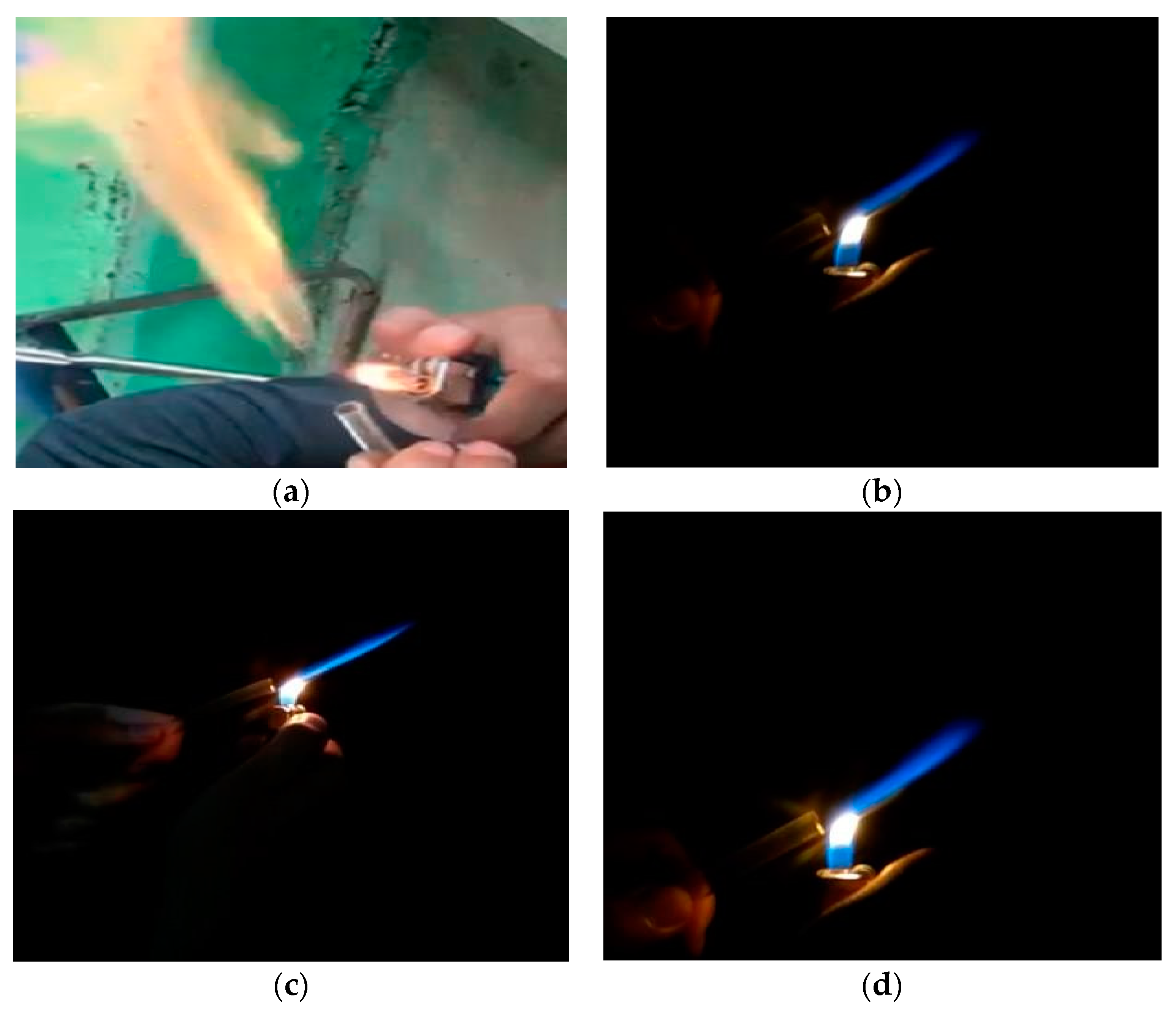 Membranes 11 00917 g008