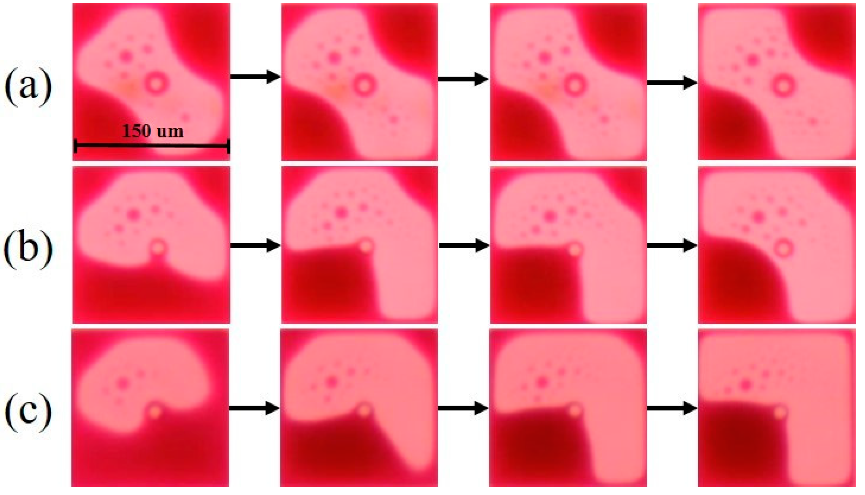 Membranes 11 00920 g009
