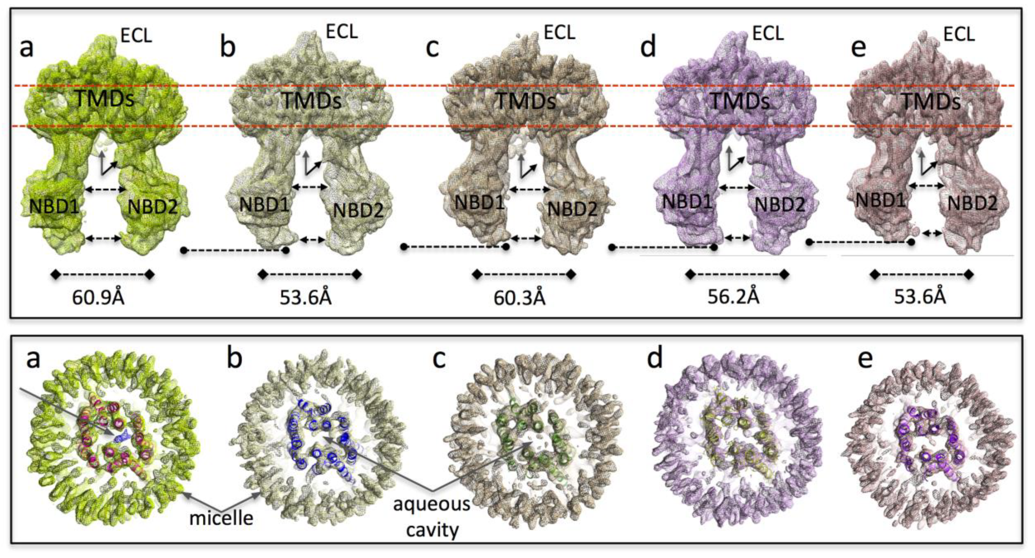 Membranes 11 00923 g001