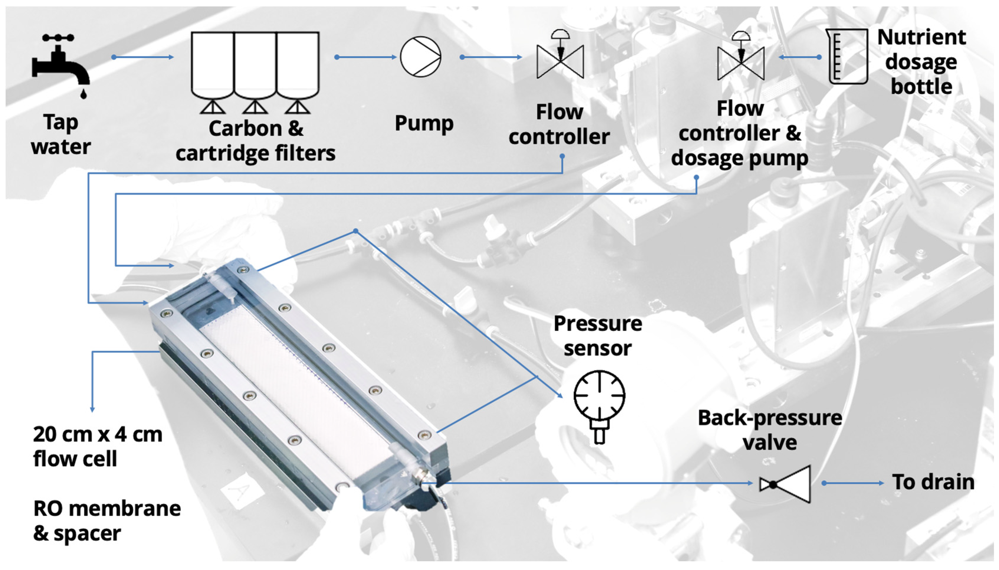 Membranes 11 00928 g001