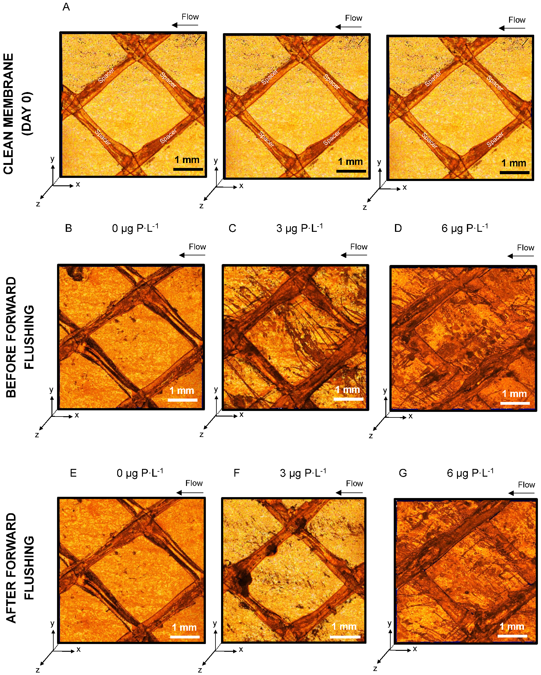 Membranes 11 00928 g003
