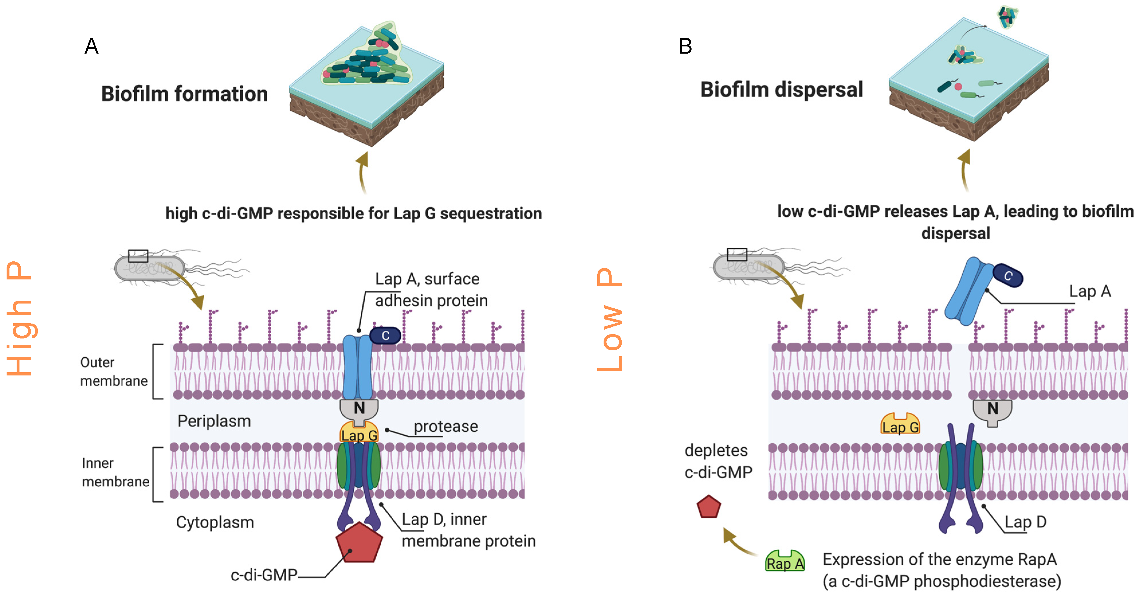 Membranes 11 00928 g007