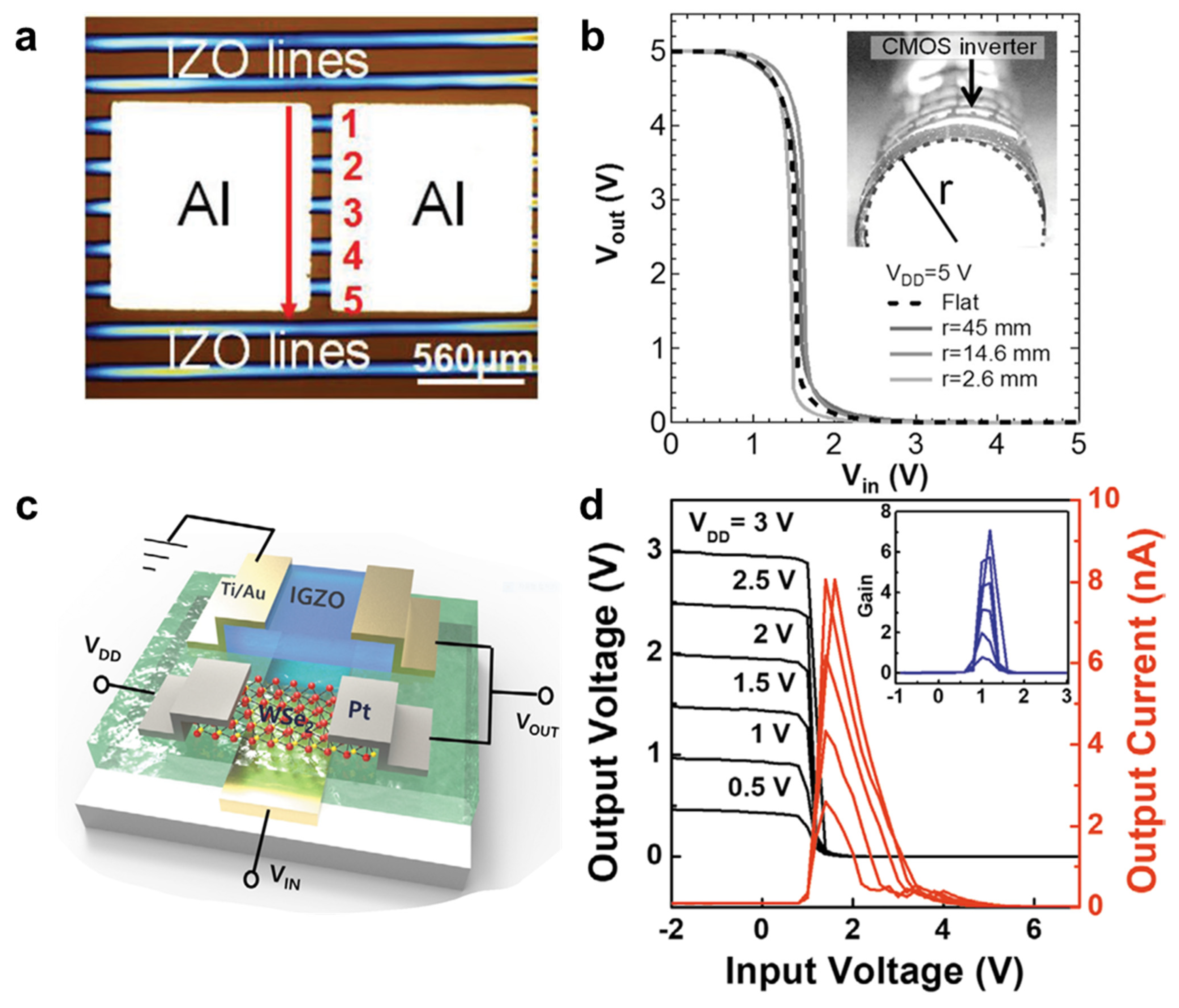 Membranes 11 00931 g002