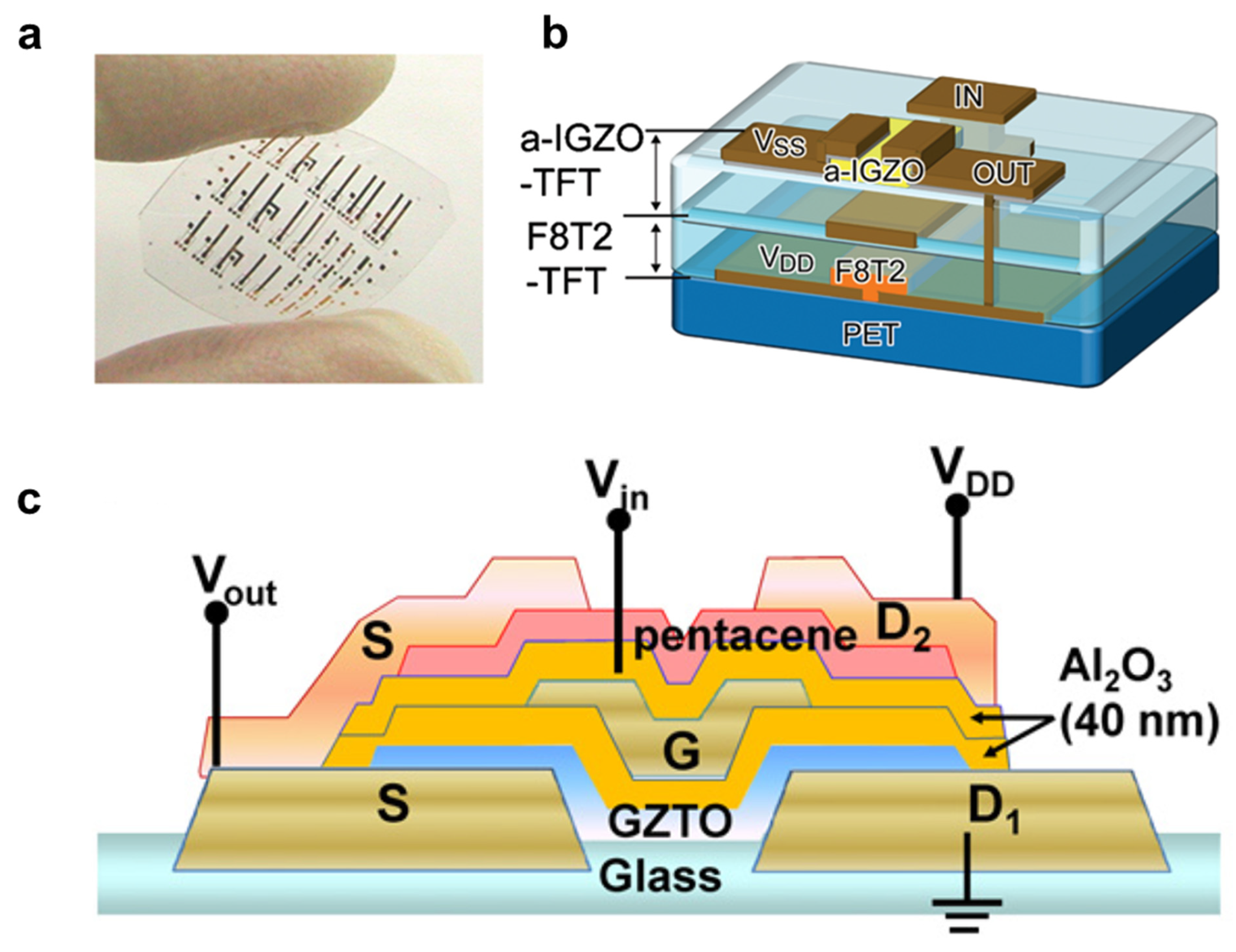 Membranes 11 00931 g007