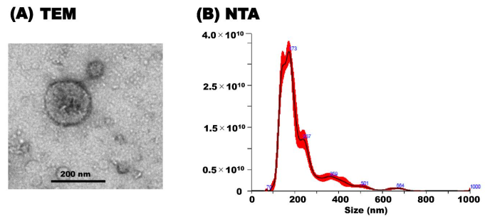 Membranes 11 00933 g001
