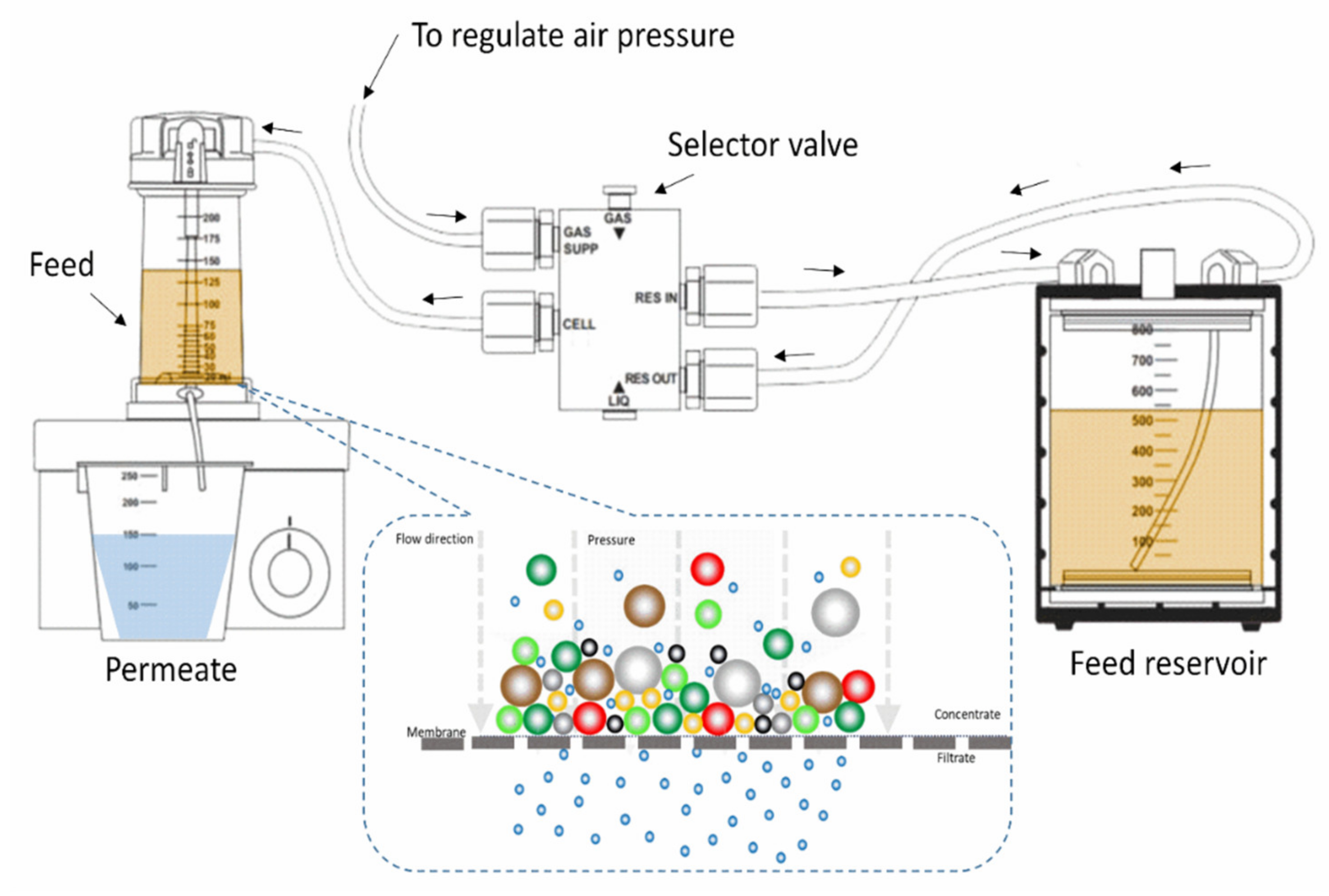 Membranes 11 00935 g002