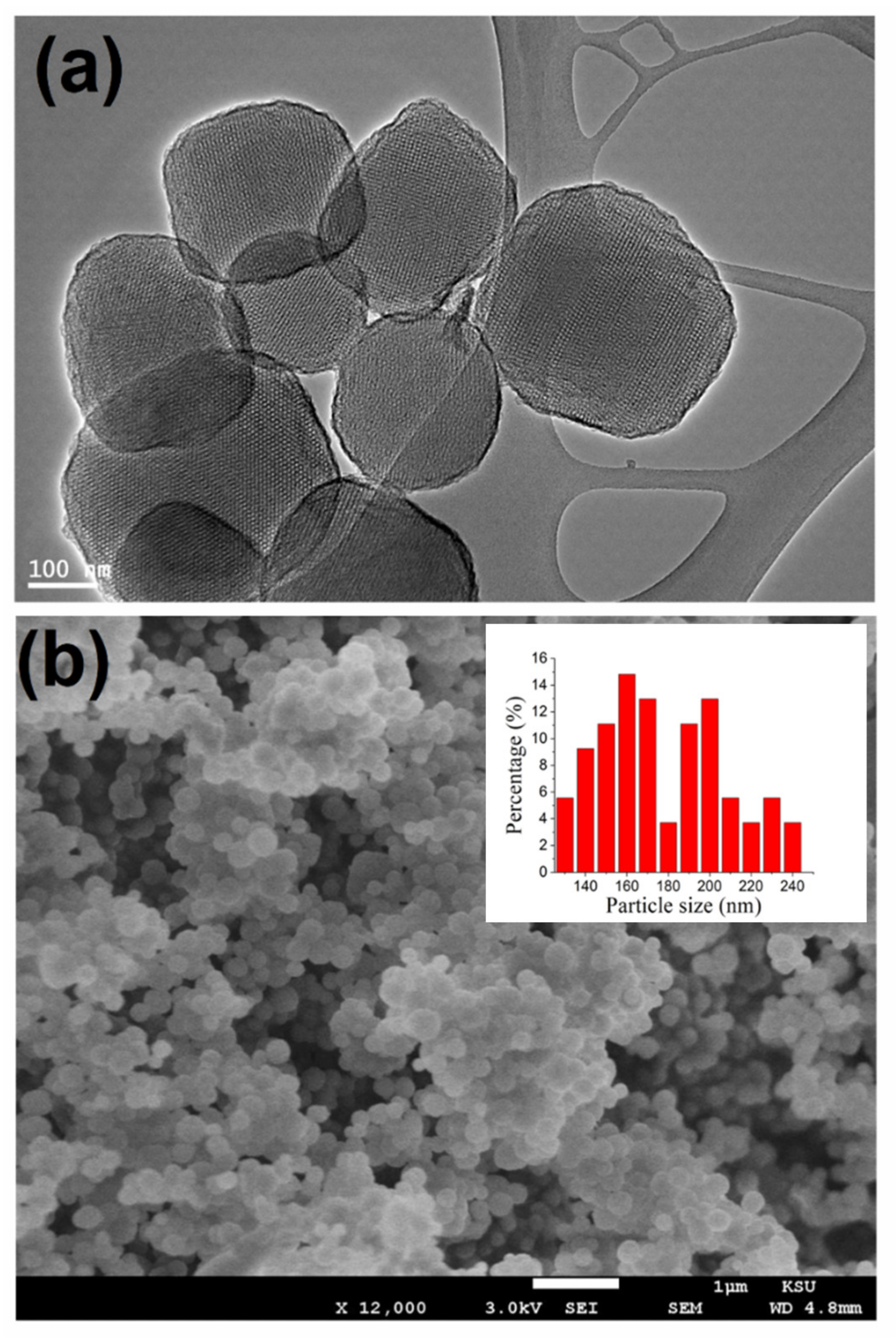 Membranes 11 00935 g003