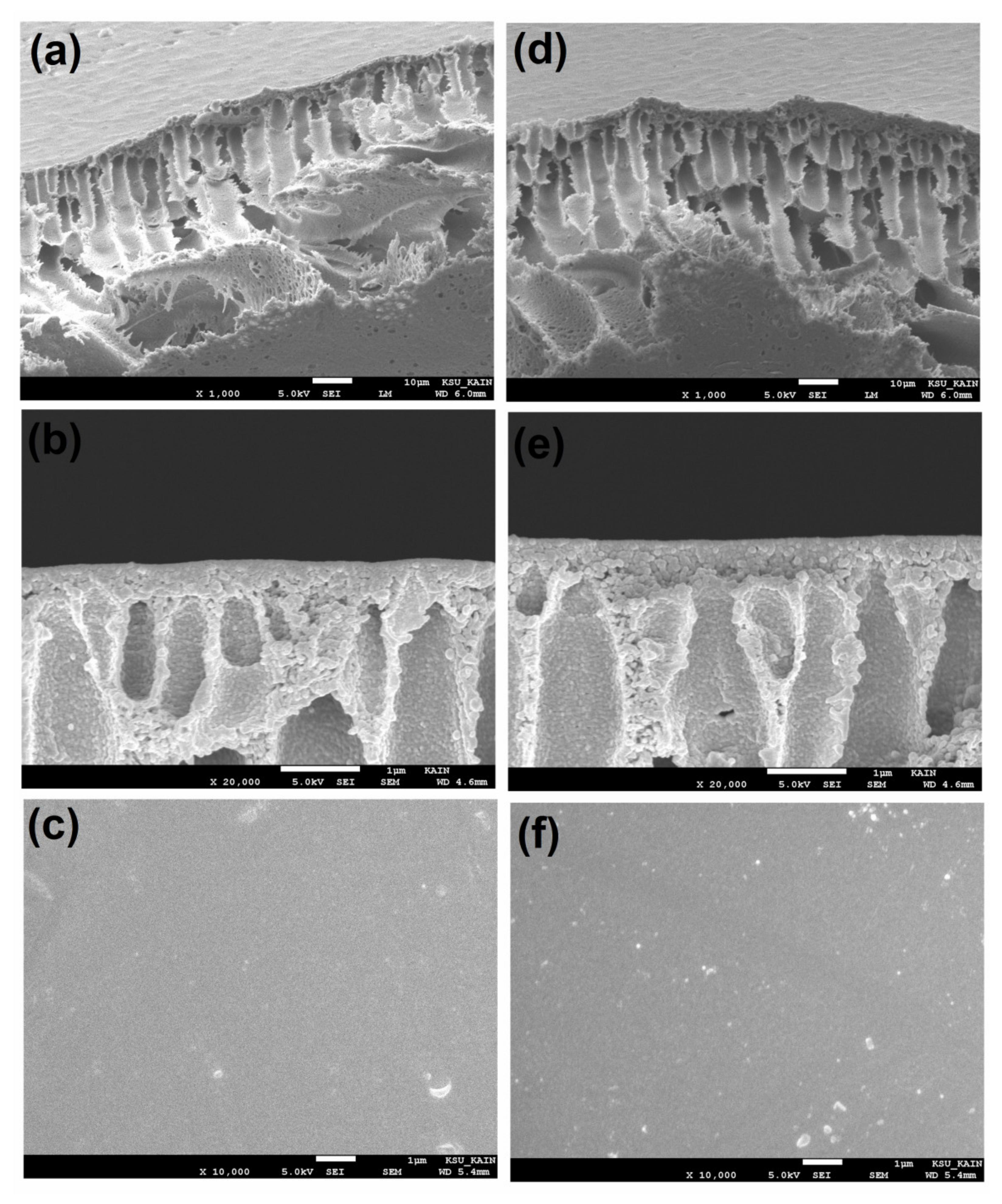 Membranes 11 00935 g006