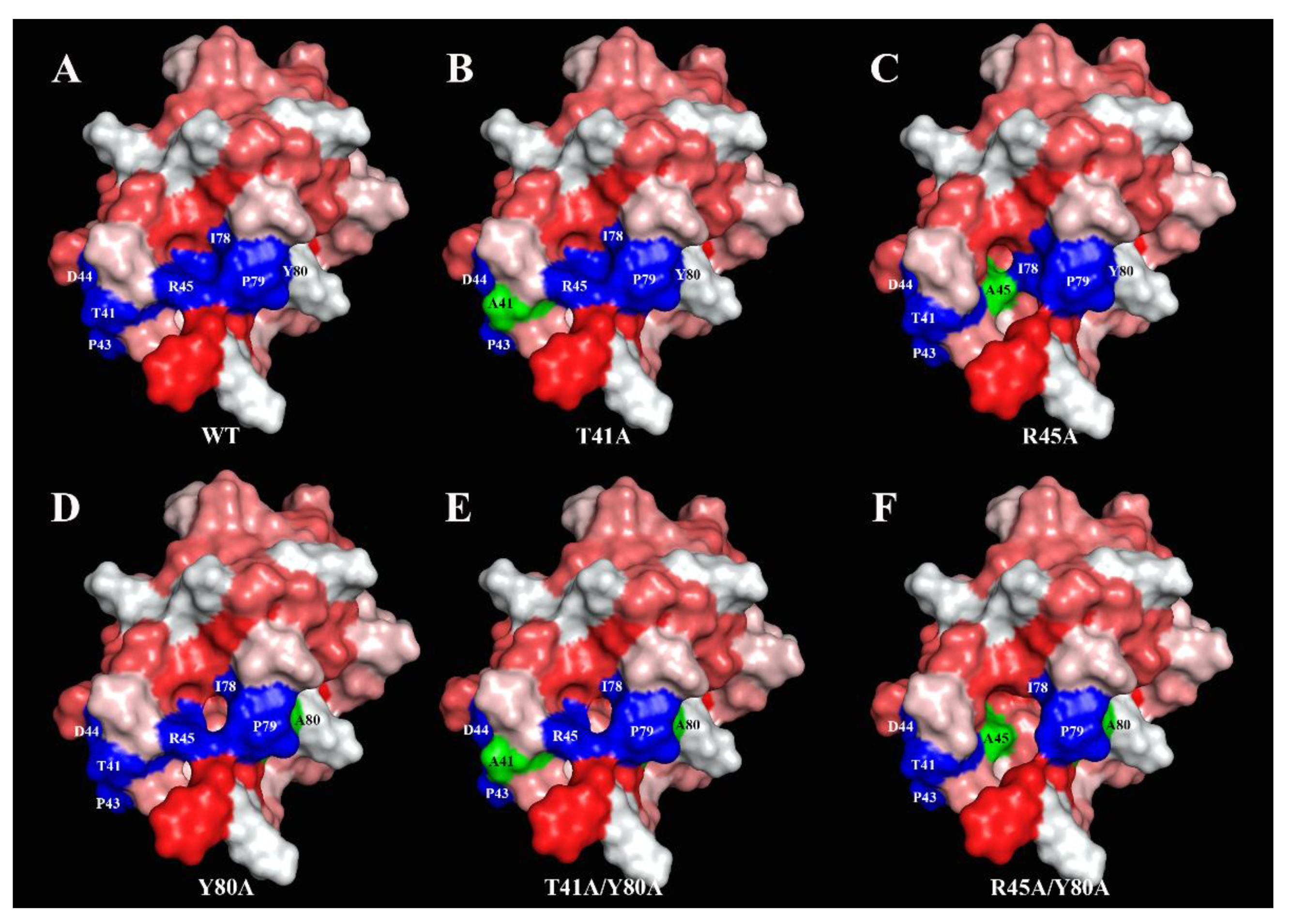 Membranes 11 00939 g003