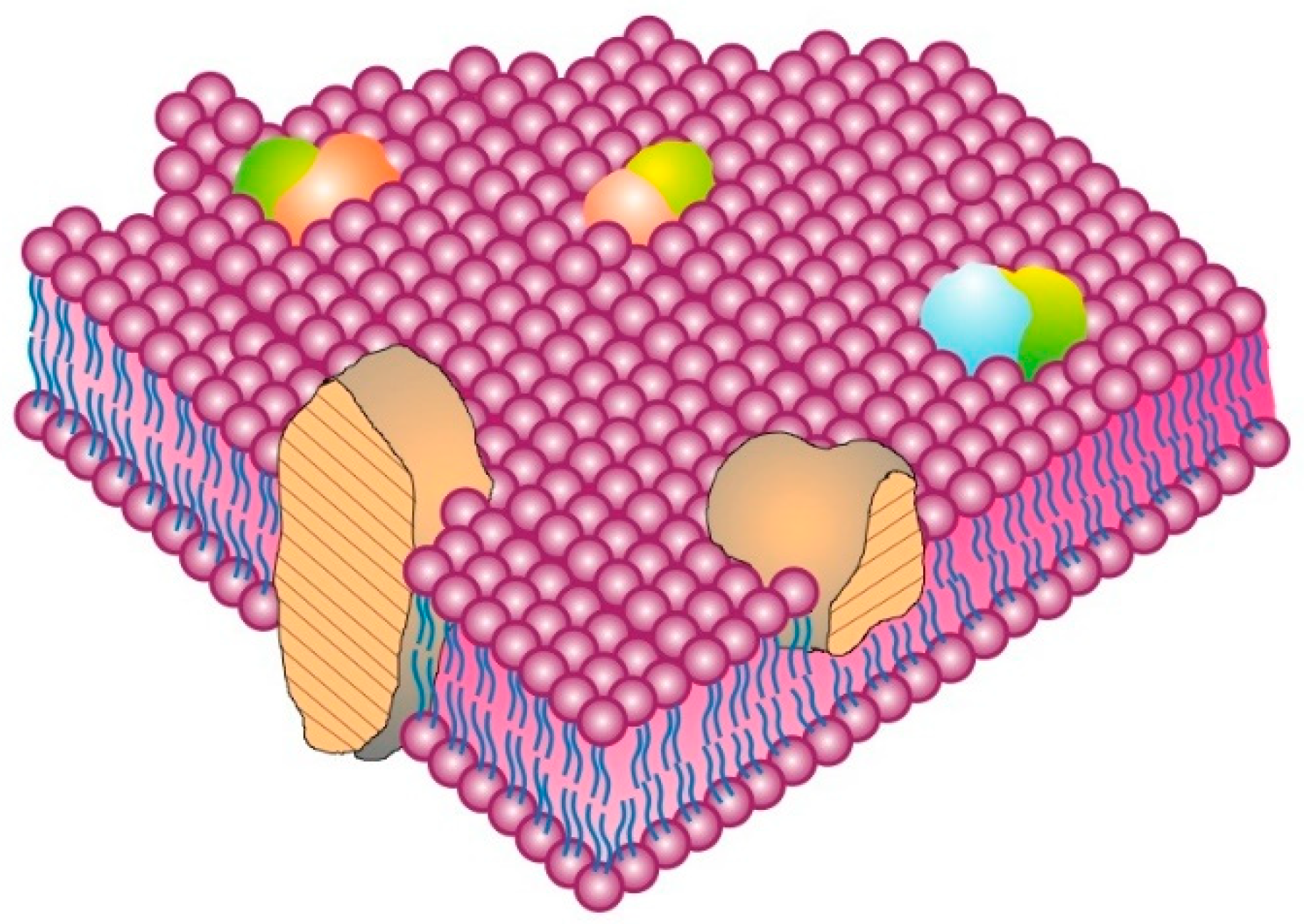 Membranes 11 00947 g001 Membranes 11 00947 g001